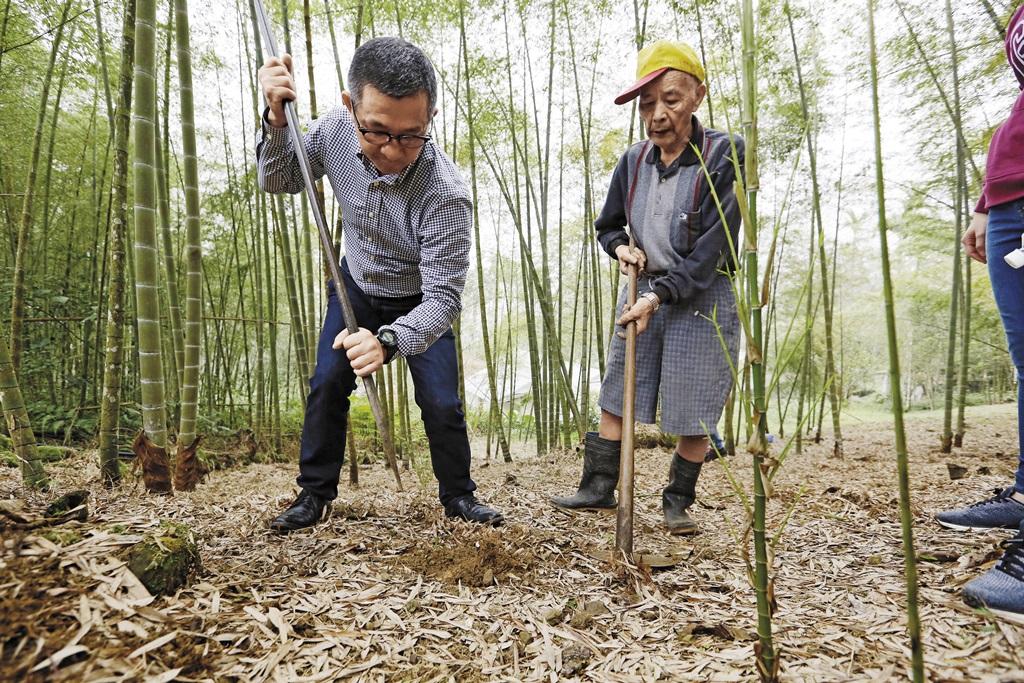 林俊賢（左）出生南投竹山鎮，高齡90歲的父親（右）至今仍從事竹農工作。