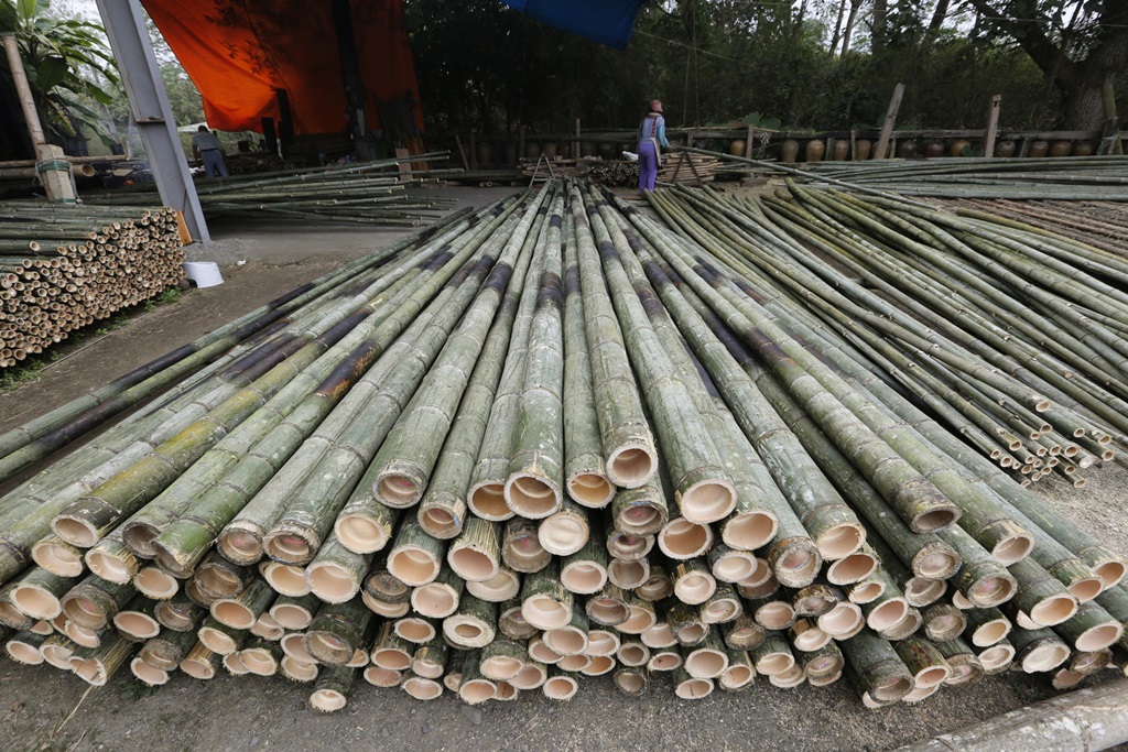 長又直的孟宗竹多用於建築鷹架或選舉旗幟架，少數蚵農也會購買做為蚵架之用。