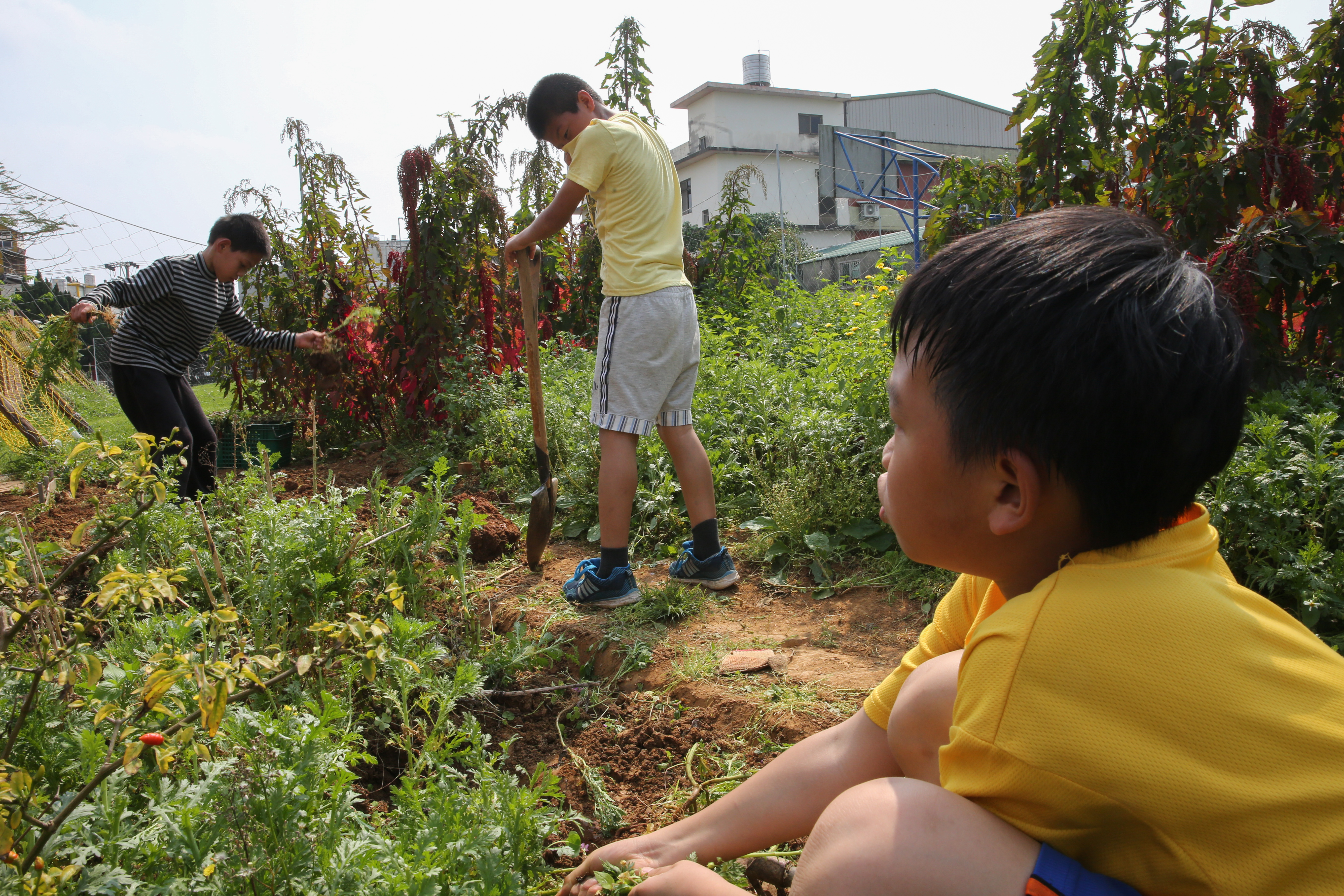 台灣國際兒童村照顧弱勢孩童47年，早年以收容棄嬰為主，近年則轉型安置受虐或偏差兒童。