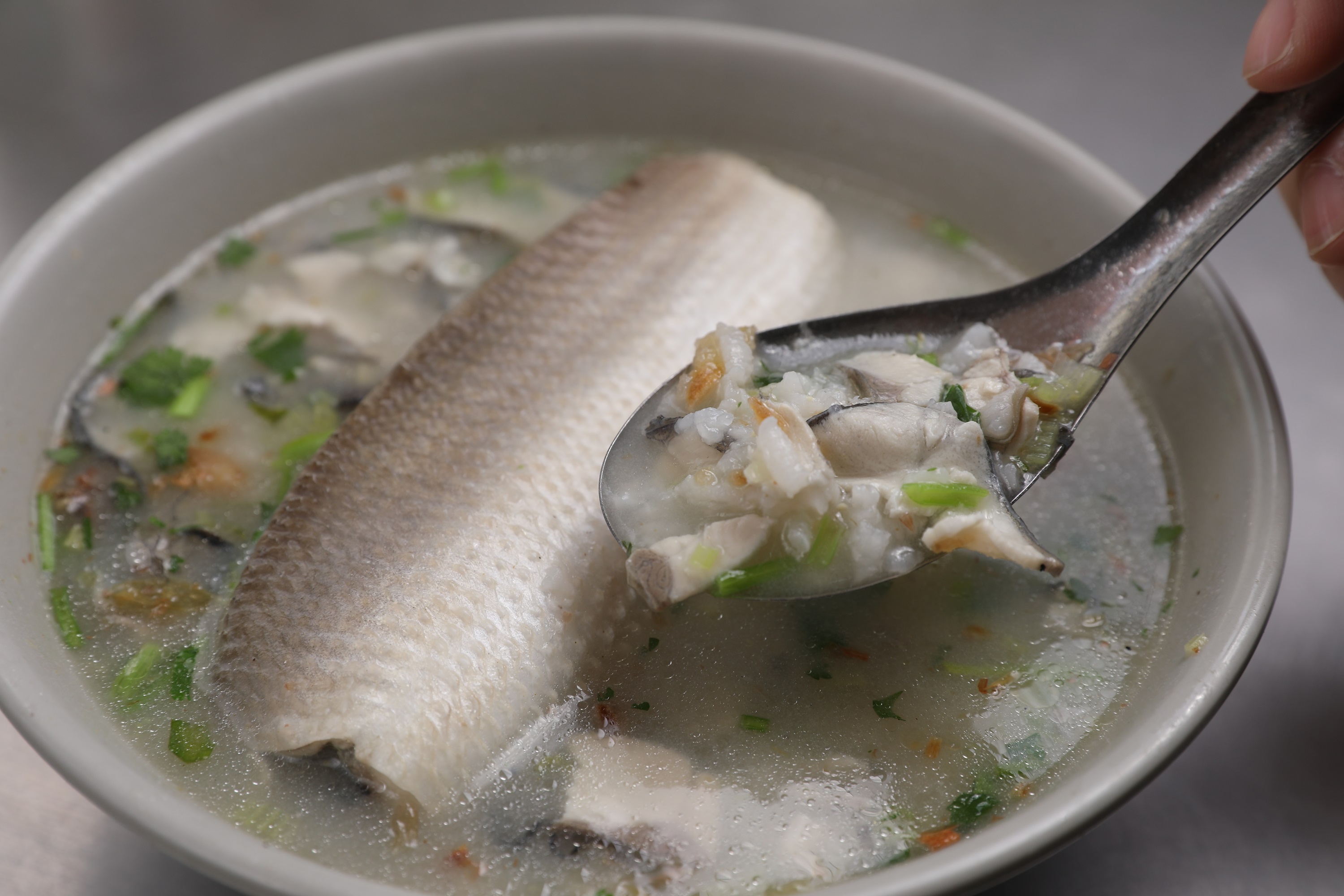 「虱目魚肚粥」除了有一整塊魚肚，飯湯裡還混入魚片，是典型南部口味。（130元／碗）