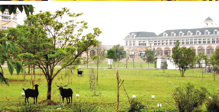 位在雲林縣的維多利亞雙語中小學，堪稱當地貴族學校，得獎記錄連連。（翻攝維多利亞雙語中小學官網）