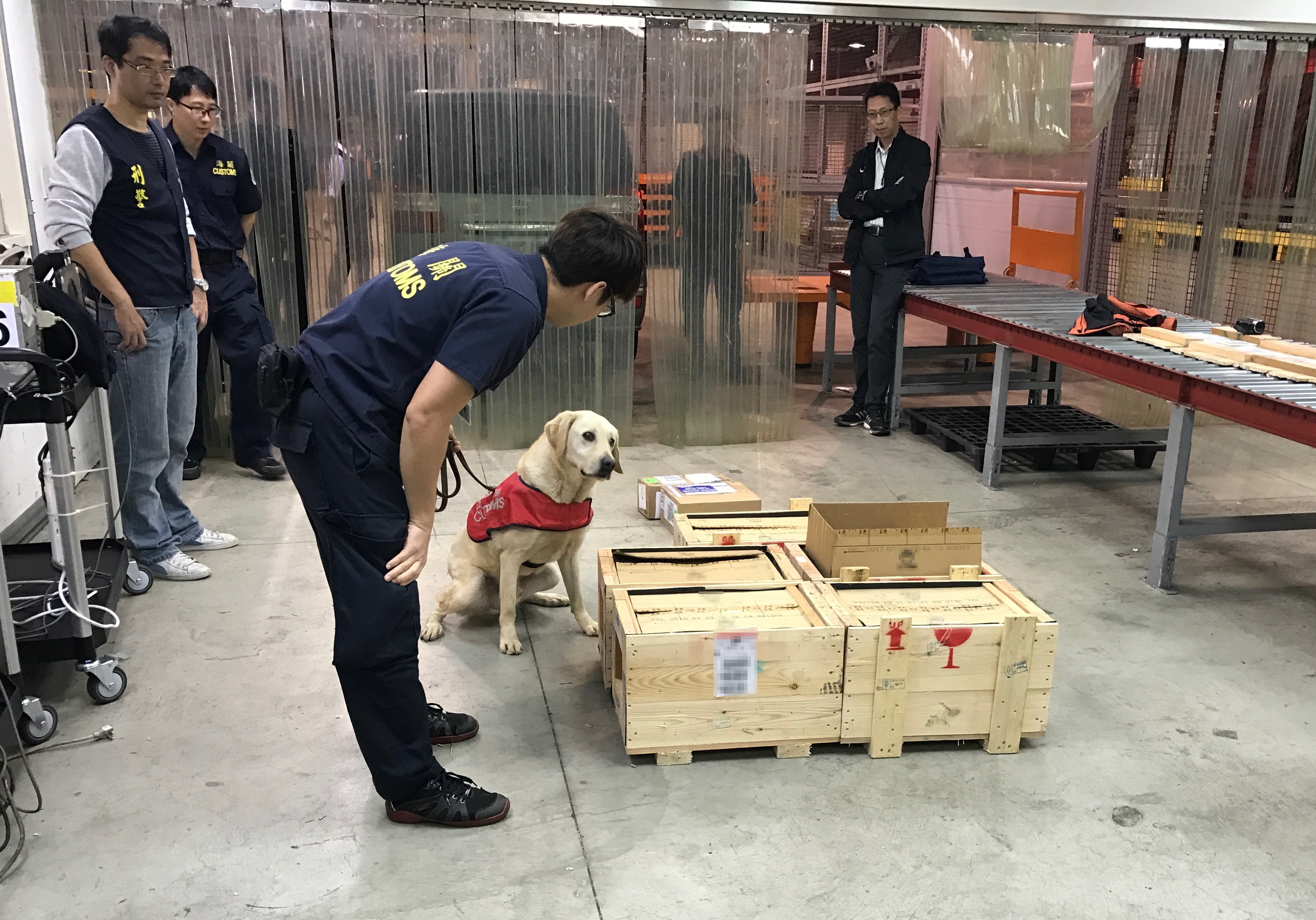 海關人員請出緝毒犬，協助聞嗅藏在箱中的安非他命。