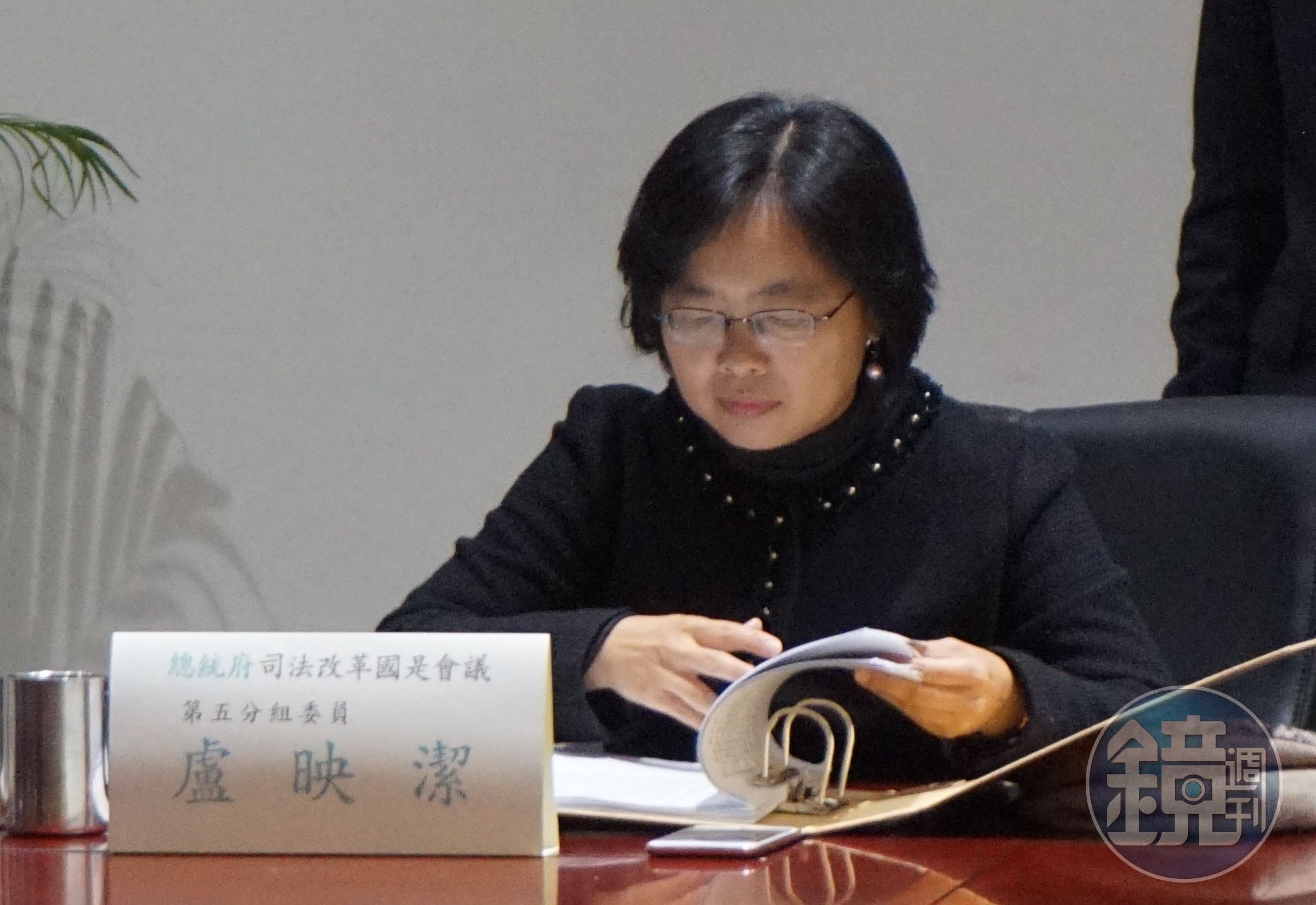 中正大學教授盧映潔指提案將吸毒除罪化，是委員寫心酸的。