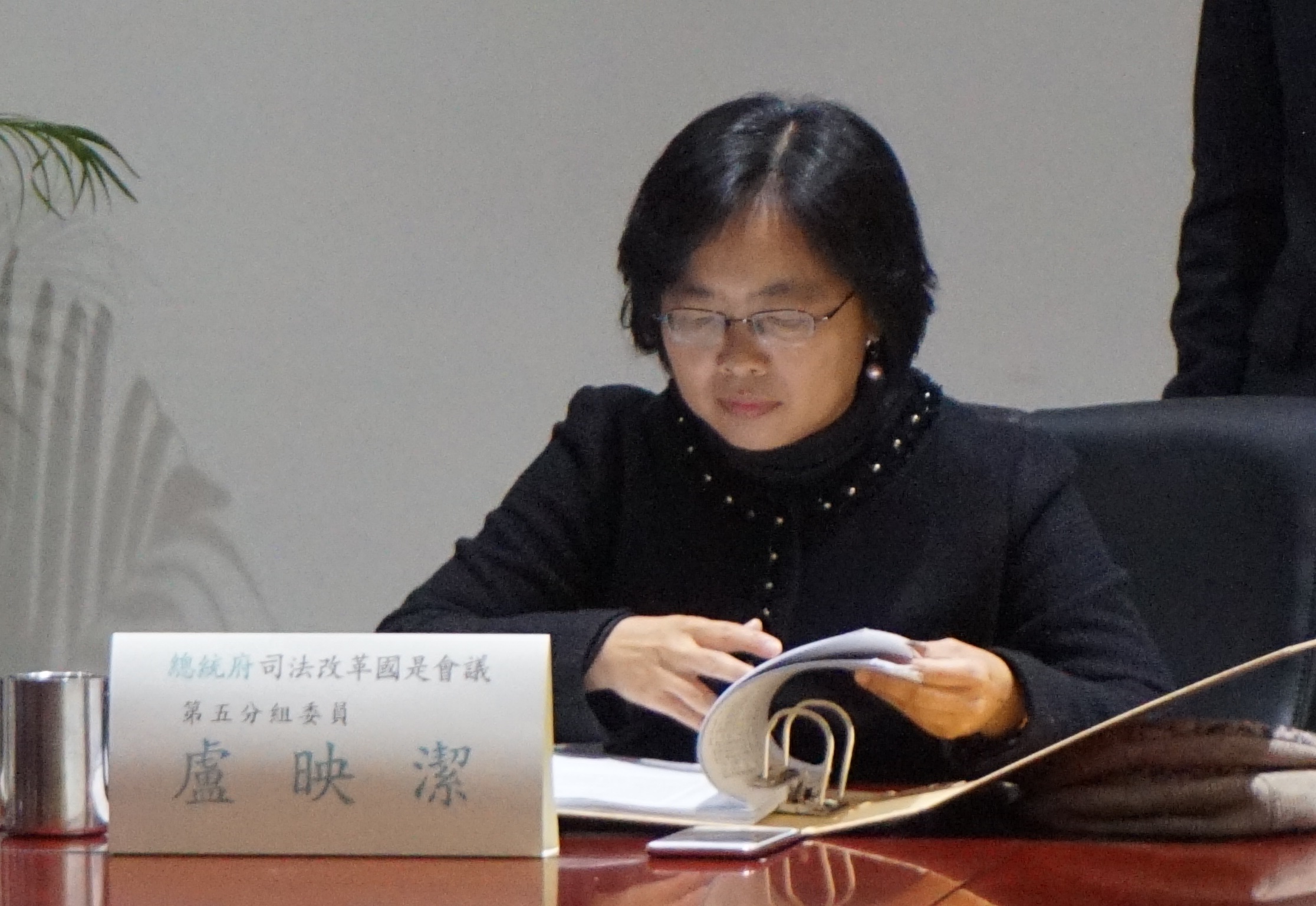 中正大學教授盧映潔指提案將吸毒除罪化，是委員寫心酸的。