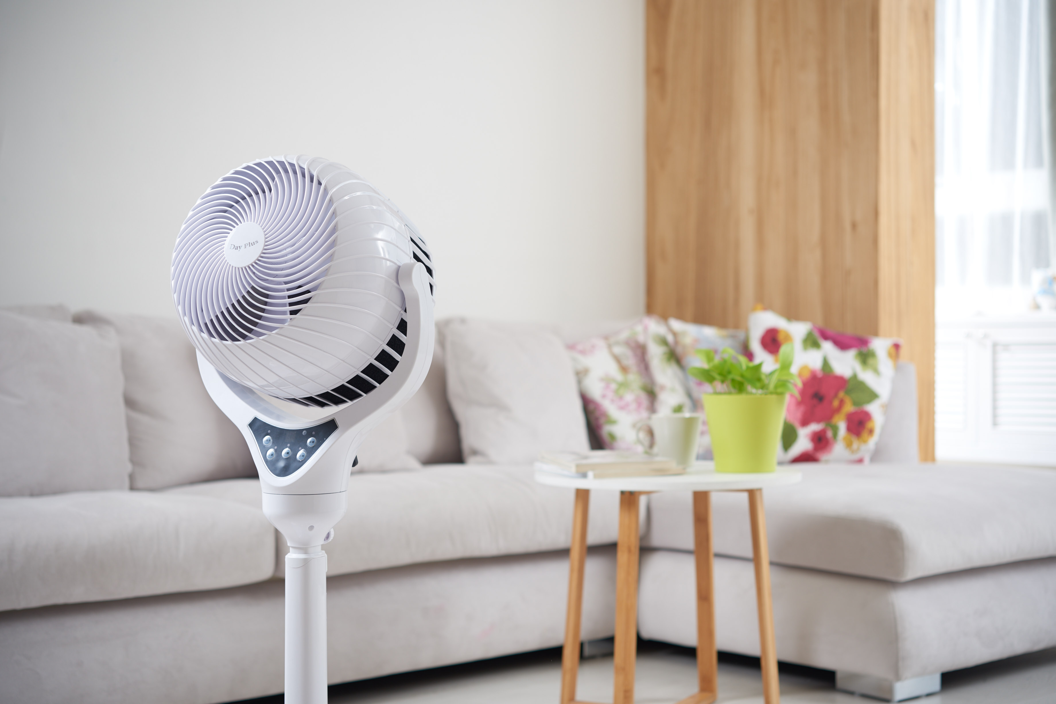 【電器特輯】最狂「創風清淨機」開賣！早鳥價限量500台