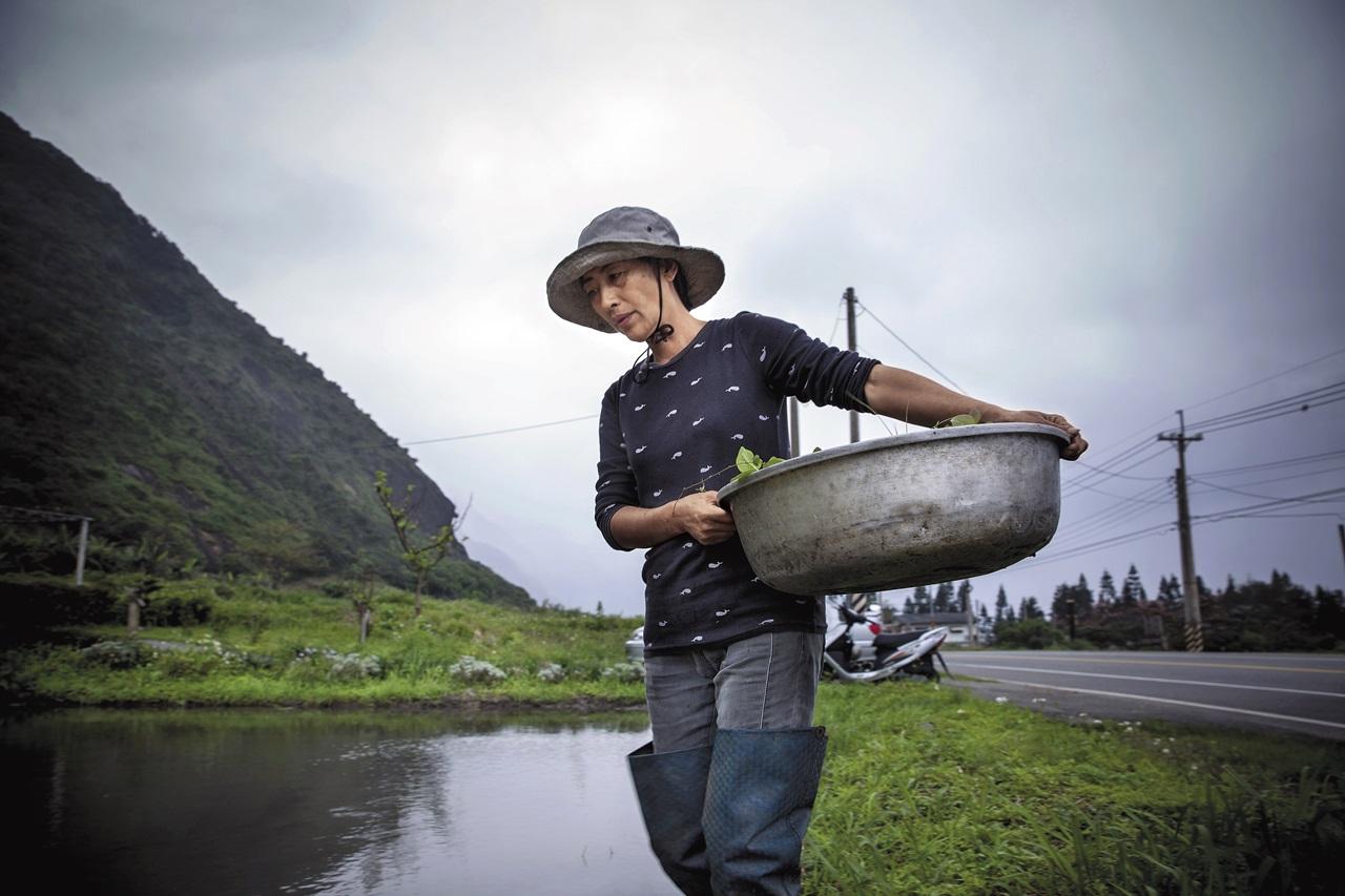 我們抵達這天下著小雨，舒米正忙於農活，無暇受訪，1小時後回家，採訪才正式開始。