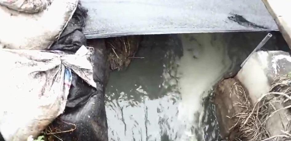 中庸牧場排放汙水超過放流水標準百倍
