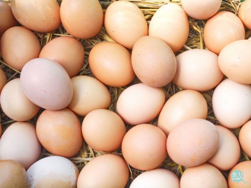 雞蛋示意圖，網路截取。