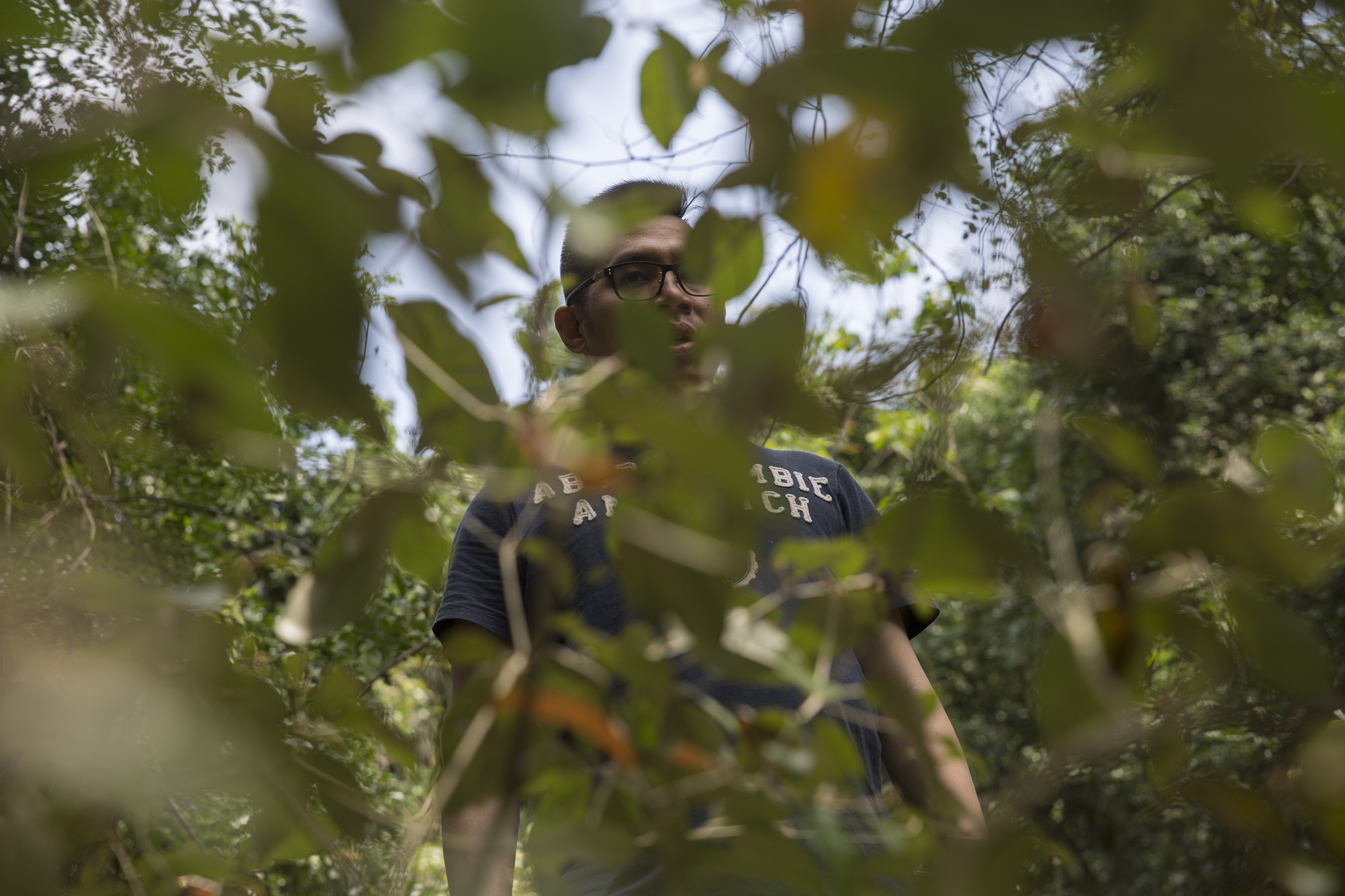 吳尚洋在社頂公園內尋找野花。