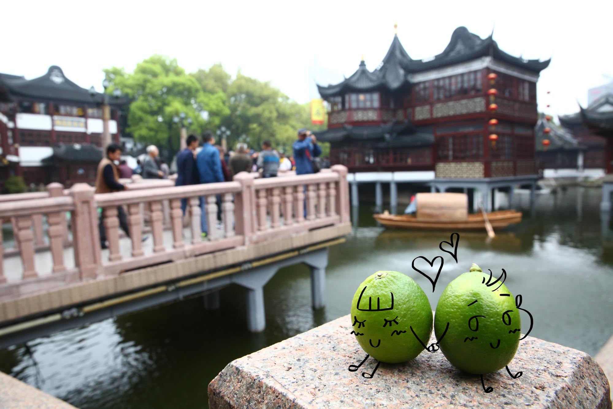 豫園處處充滿著江南古典園林特色,是上海著名的遊覽勝地。