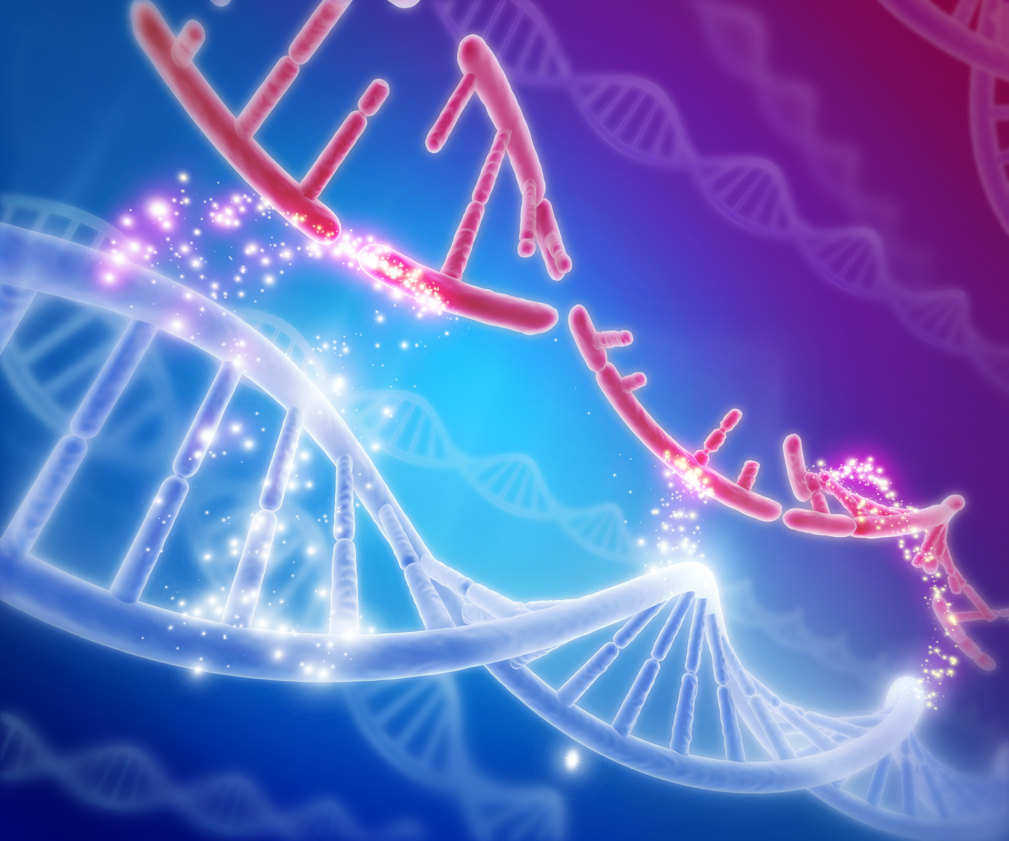 【王道還科普專欄】一命二運三風水：癌症的生物學　王道還