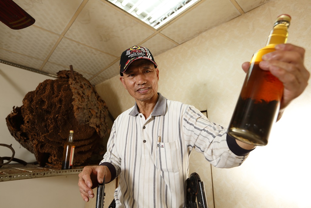 謝勇忠雖然已經不再抓蜂，仍保有當年釀製的虎頭蜂酒。