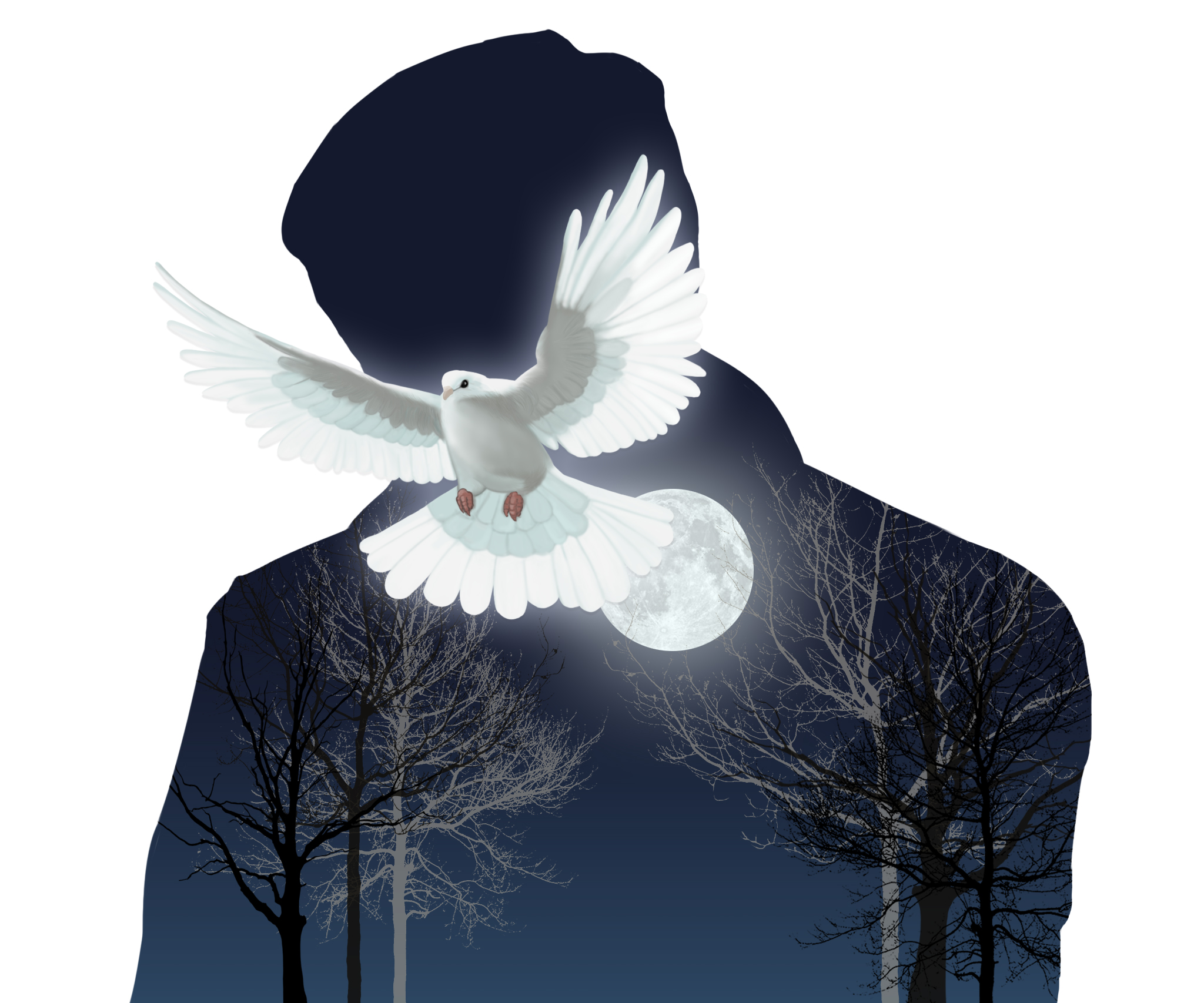 【傅月庵書評】此生如鴿，終得歸鄉──《此生如鴿》