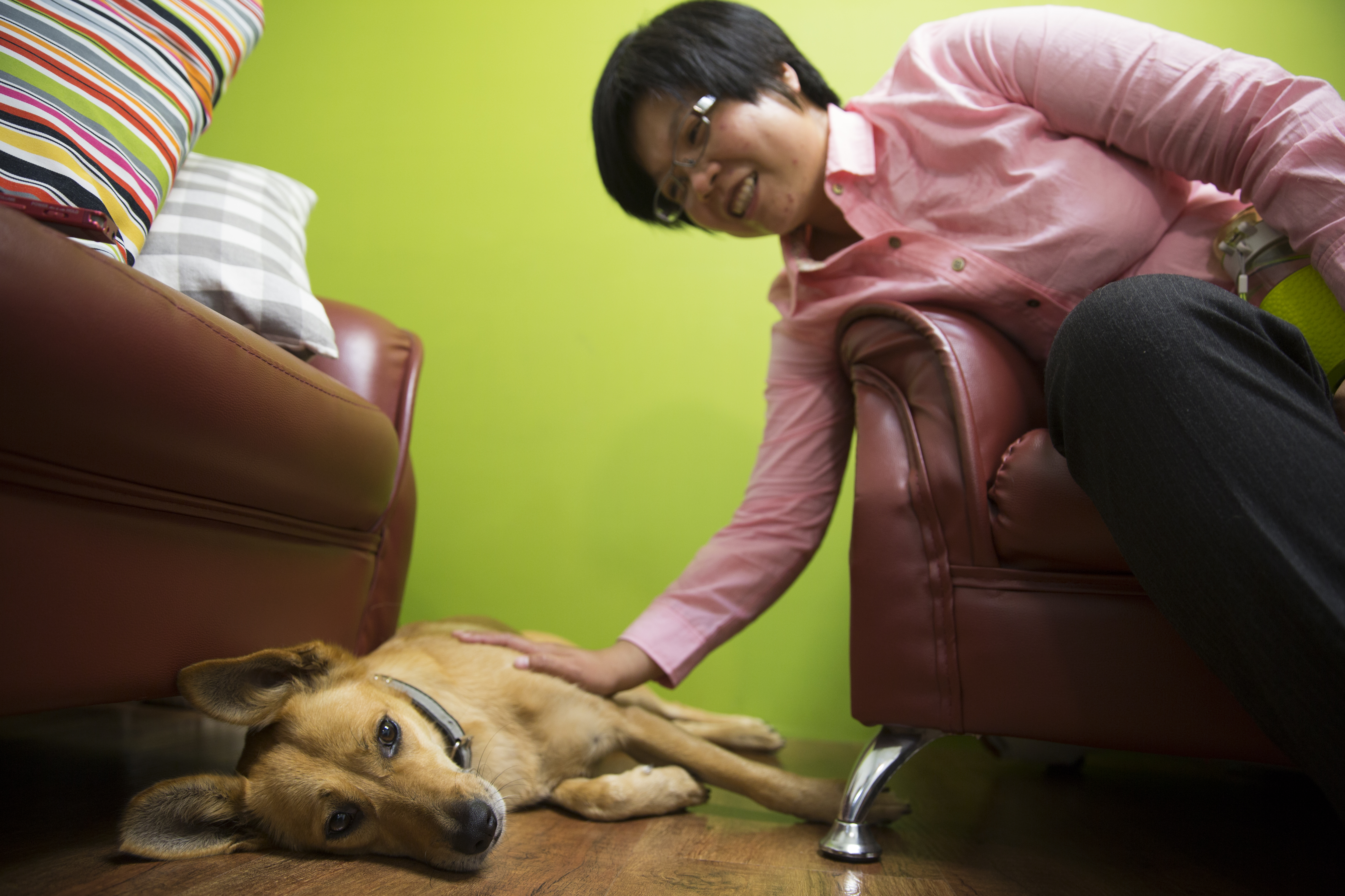 兩個月前劉柏君在辦公室收養了一隻流浪犬，聰慧活潑的牠成為劉柏君卸下繁重工作時的玩伴。