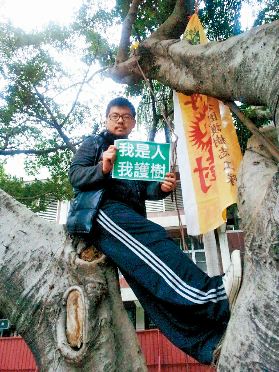 王鐘銘說:「樹是社區的記憶,居民對待樹就像對待家人。」(翻攝自「我願游泳於樹海.搶救江翠老樹」粉絲專頁)