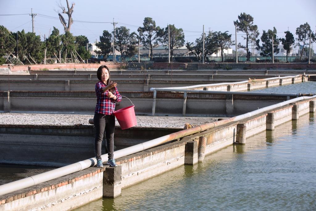 鍾瑩瑩說,自小喜歡需要高度專注力與耐心的事,剛好養魚也是如此,例如繁殖魚隻無法立竿見影,成品要一年後才出來,就像一年後人們才能看到創作者的藝術成果。