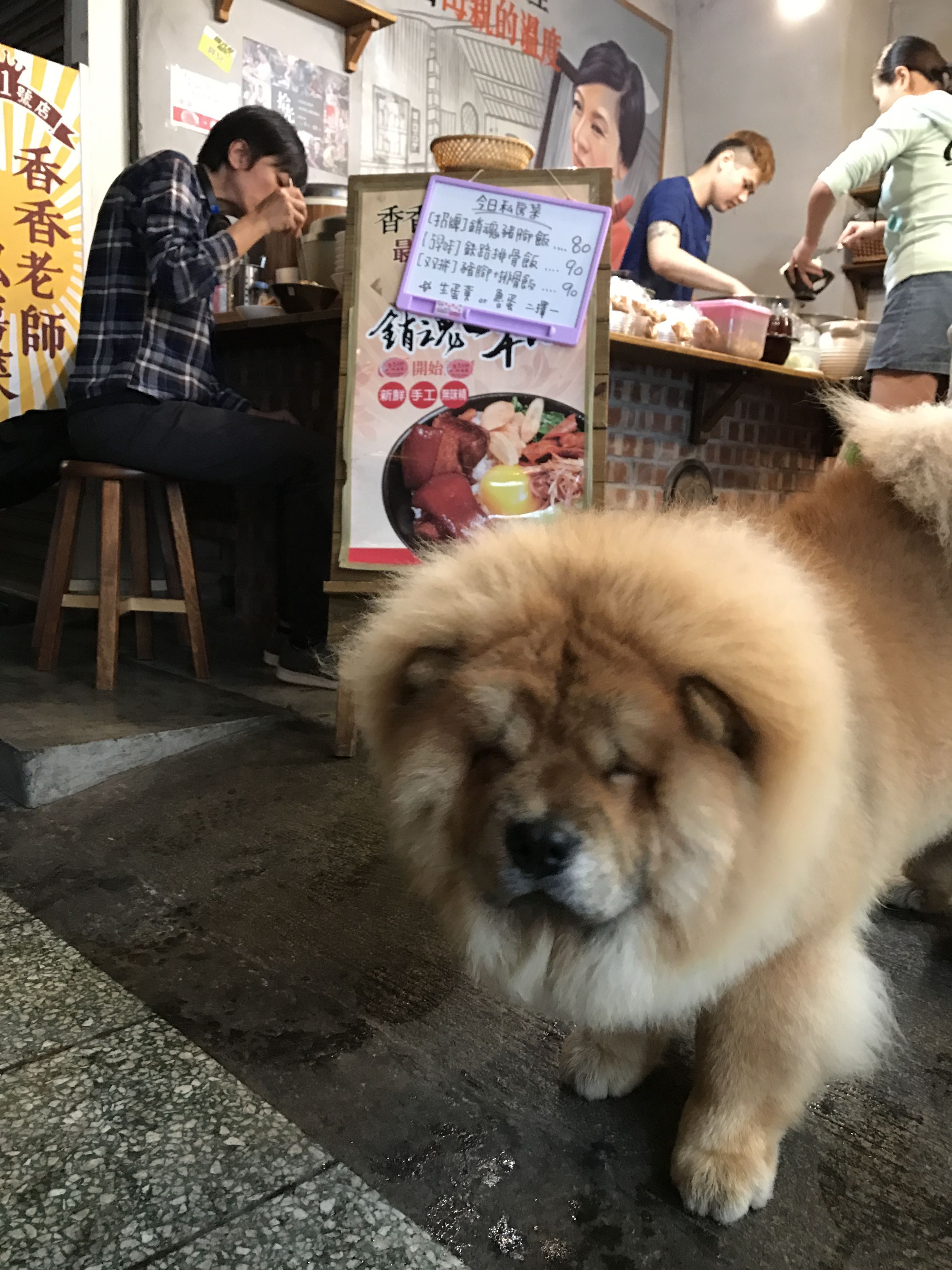 店犬「肉肉」人緣好，攬客功力一流。