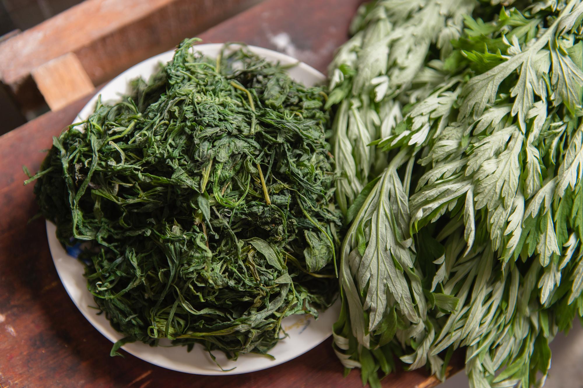艾草得洗掉苦澀味、曬乾，才能與糯米拌成「粿粽」的粿皮。
