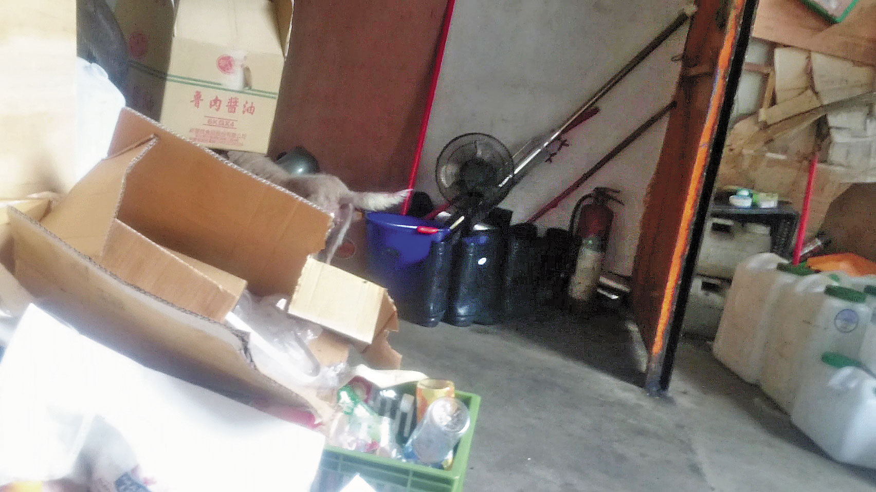冠軍公司長期向力勤進貨，其冷凍庫、工作環境髒亂，一點也不衛生。