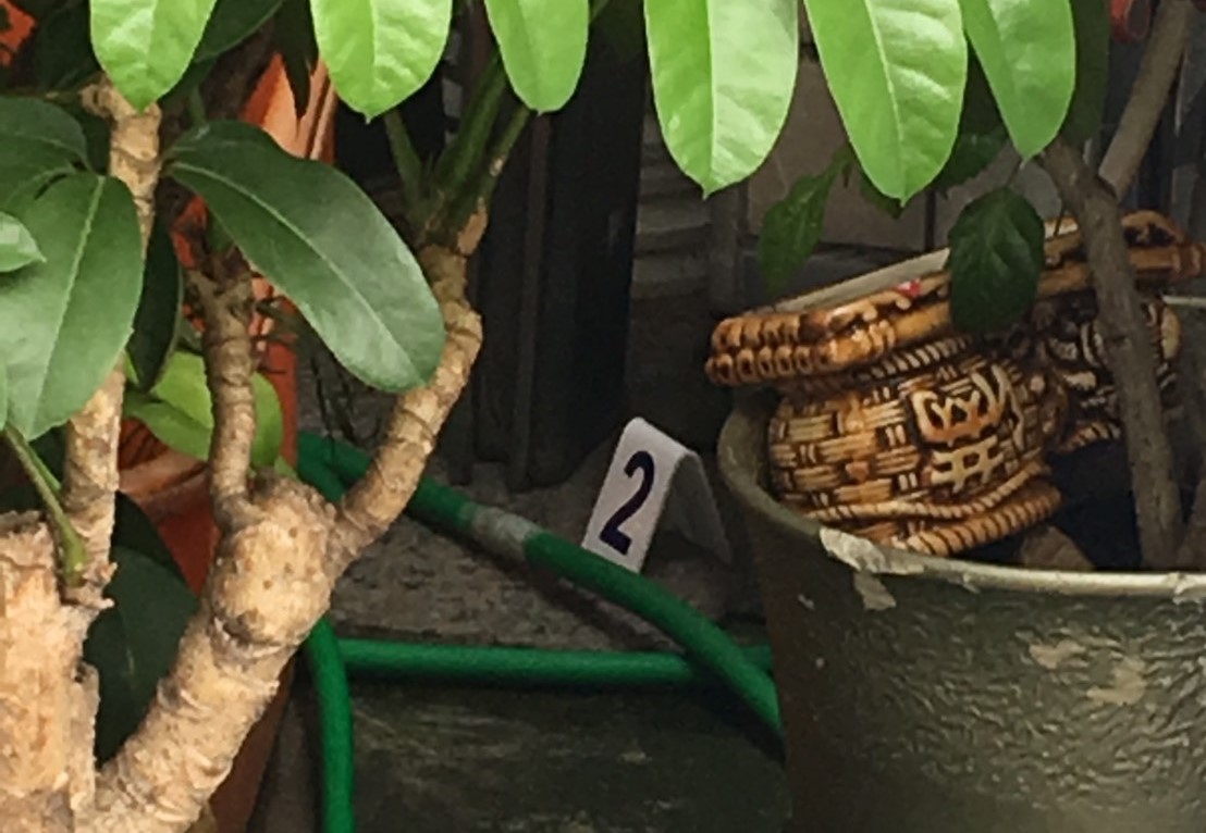 警方在現場擺放標示牌，進行採證。