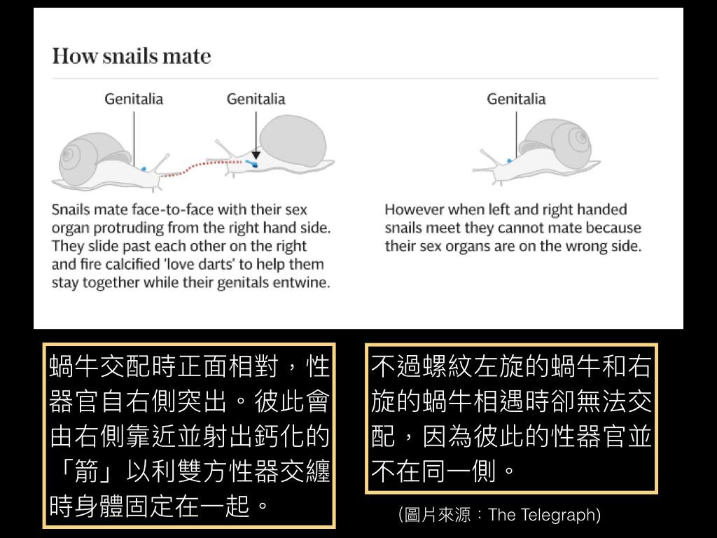 蝸牛如何交配？一般在院子裡看到的蝸牛，是雌雄同體、異體受精的軟體動物，需要不同個體交換精子產育後代。在交配時需要側身交纏將彼此生殖器放入對方的生殖孔內。對生殖孔長在「錯誤」一側的傑瑞米來說，形成了莫大的挑戰。