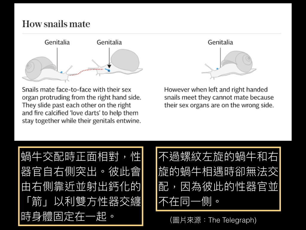 蝸牛如何交配？一般在院子裡看到的蝸牛，是雌雄同體、異體受精的軟體動物，需要不同個體交換精子產育後代。在交配時需要側身交纏將彼此生殖器放入對方的生殖孔內。對生殖孔長在「錯誤」一側的傑瑞米來說，形成了莫大的挑戰。