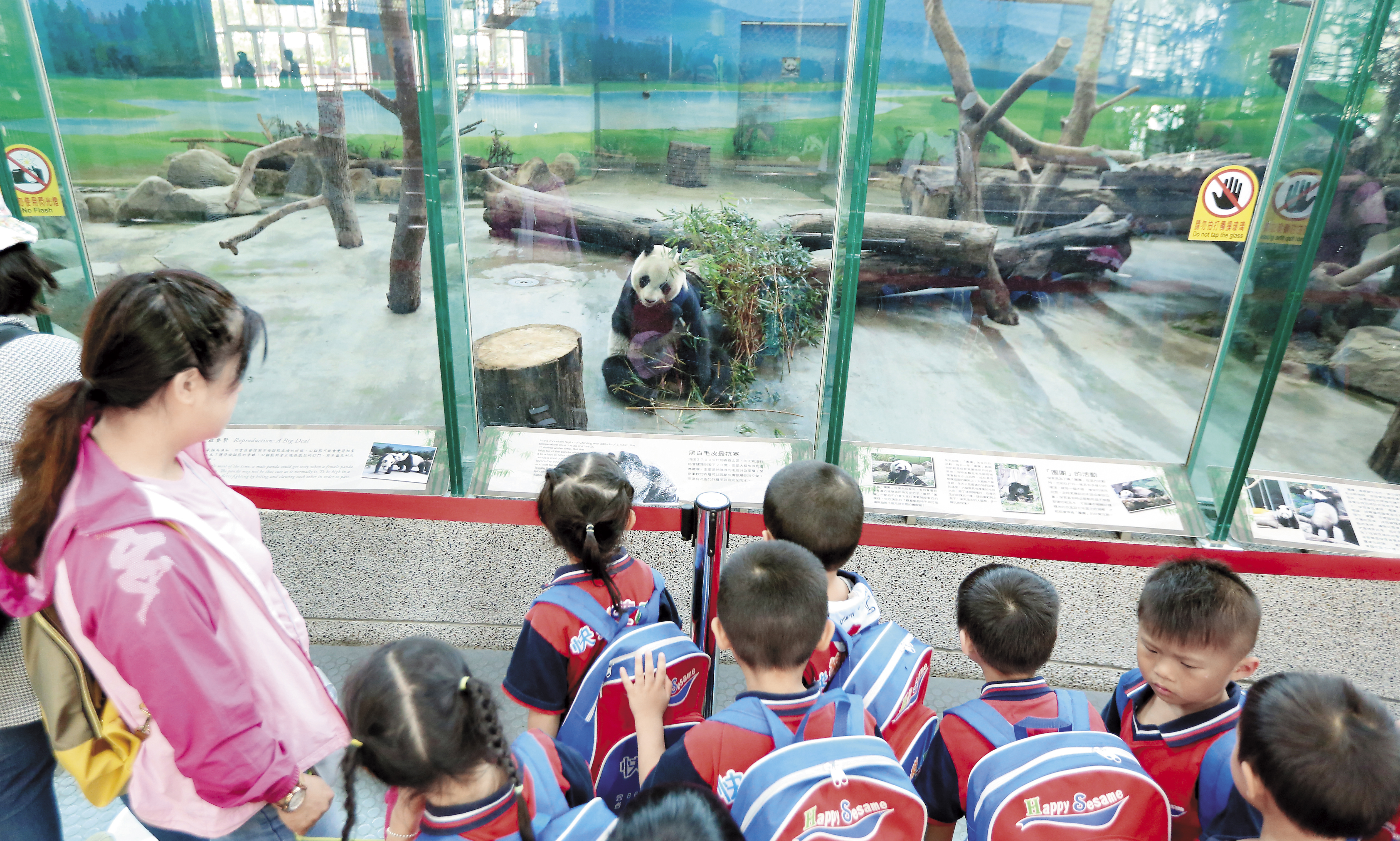 木柵動物園由企業贊助的貓熊館人潮絡繹不絕，但歷來其他展區多次發生動物逃脫事件，也凸顯管理不確實。