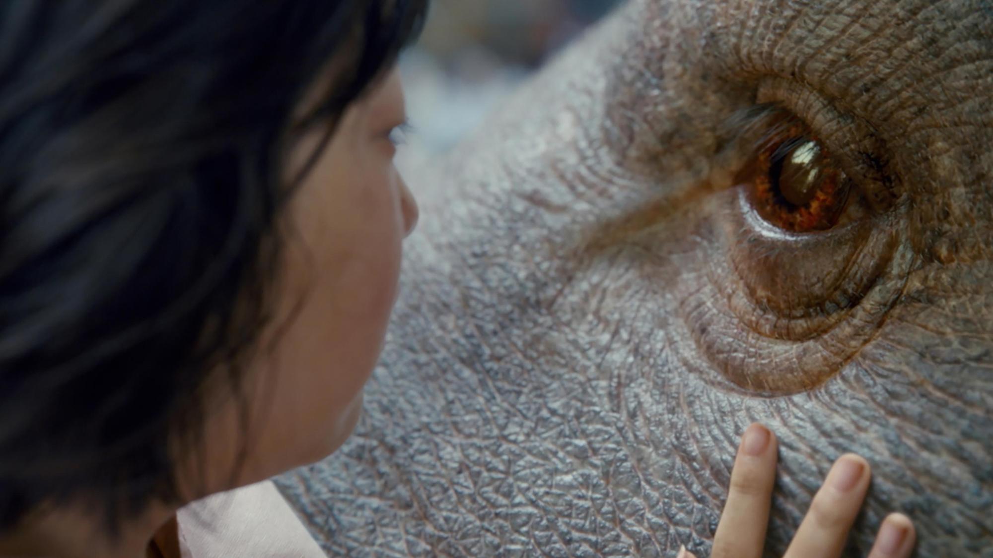 《玉子》一片除了少女與動物的情感，人道與動物權的矛盾，救一頭不代表救全體的侷限，都被剝示在你眼前。