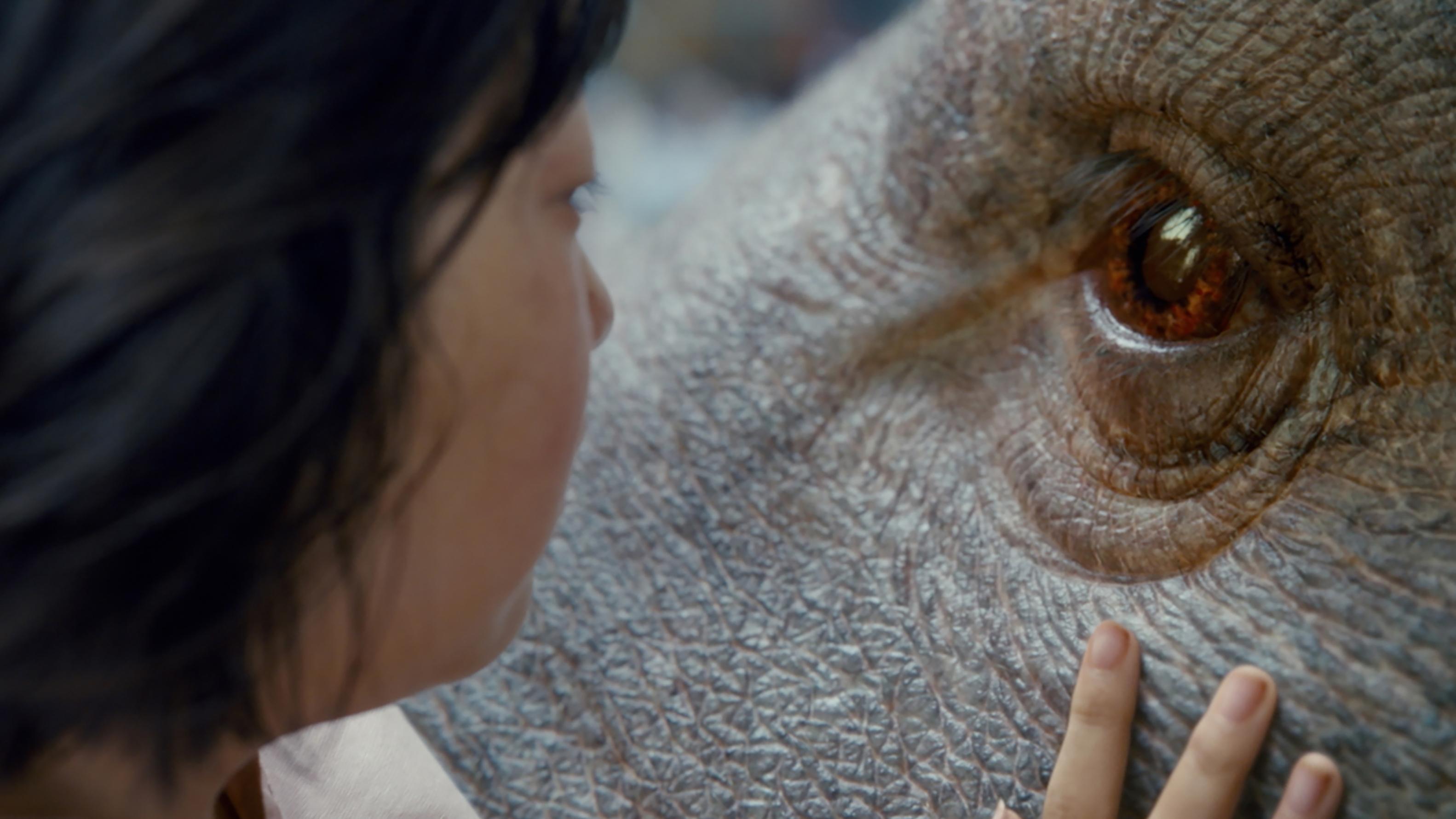 《玉子》一片除了少女與動物的情感，人道與動物權的矛盾，救一頭不代表救全體的侷限，都被剝示在你眼前。