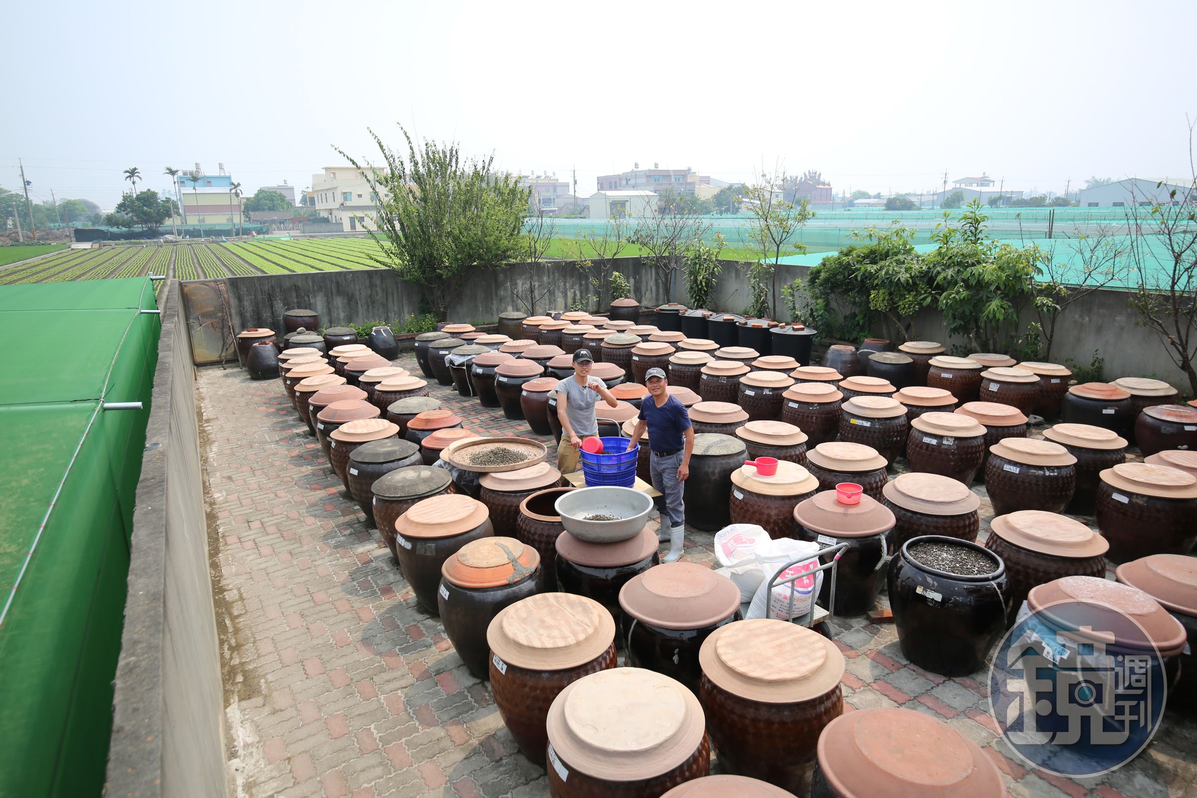 佔地不大、製作的醬油數量也有限。
