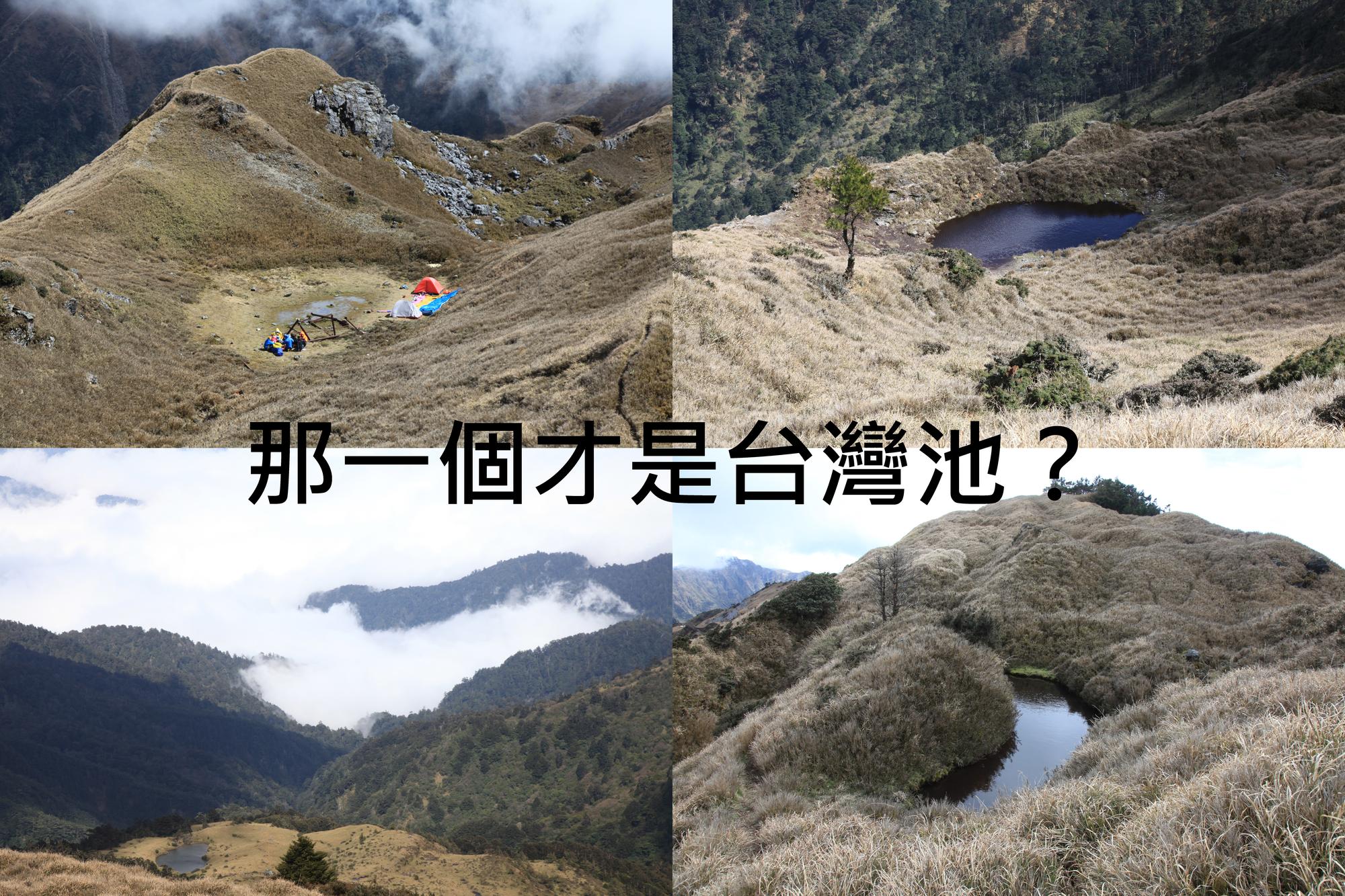錯過了台灣池,只能回來後靠照片尋覓一下可能的身影。