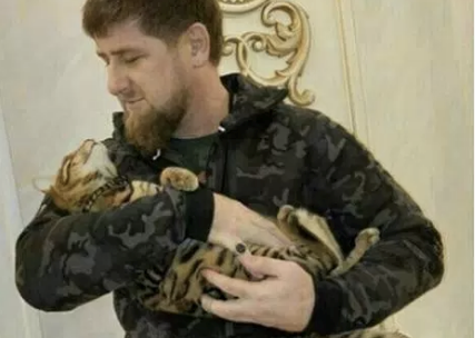 卡迪羅夫是Istagram的貼文狂,這張「暖男抱貓圖」顯現他柔情的一面,但同時他卻對境內同性戀展開殘酷的刑求和撲殺。