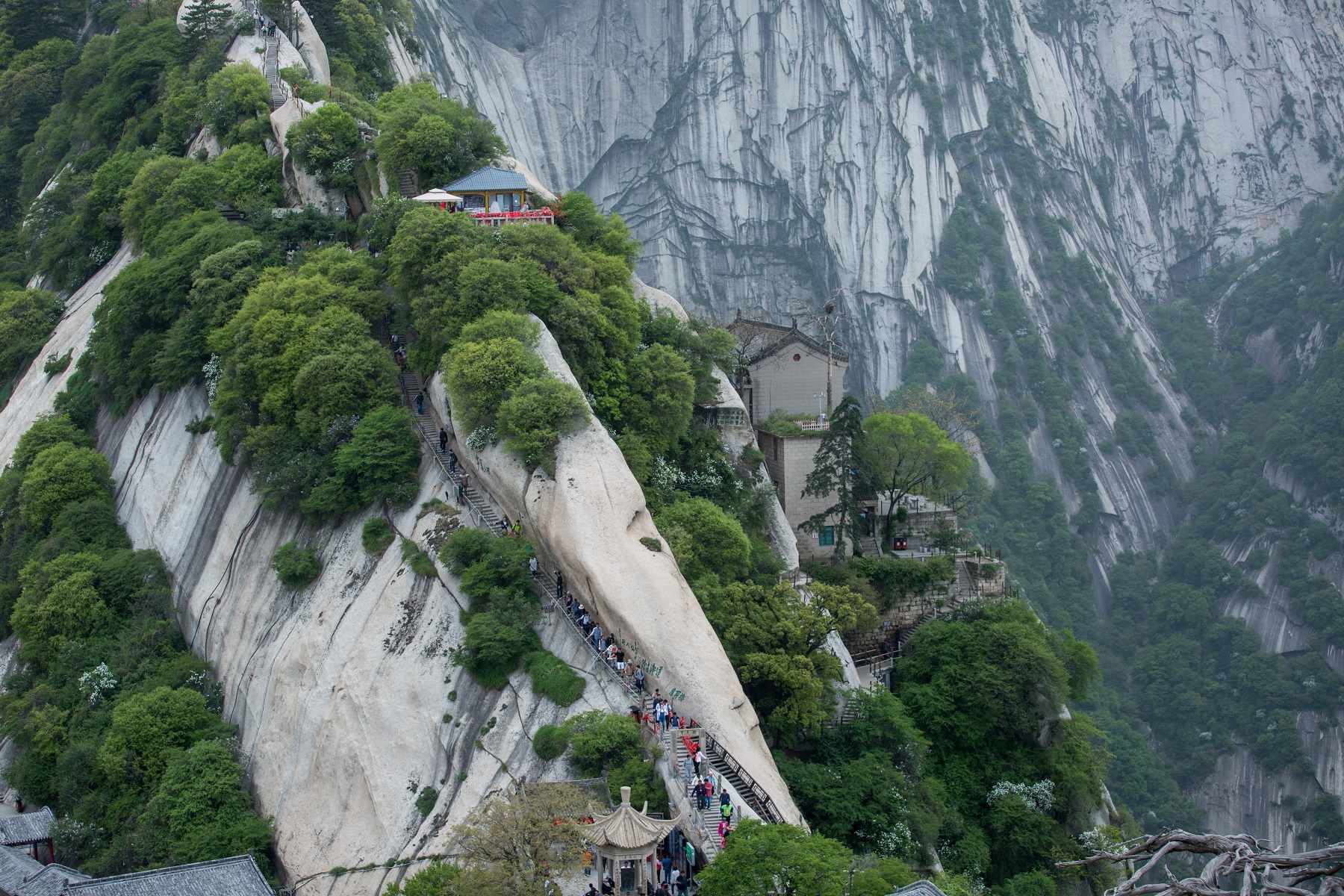 自古有「華山一條路」之稱，幾條登山步道都是走在山稜線上。