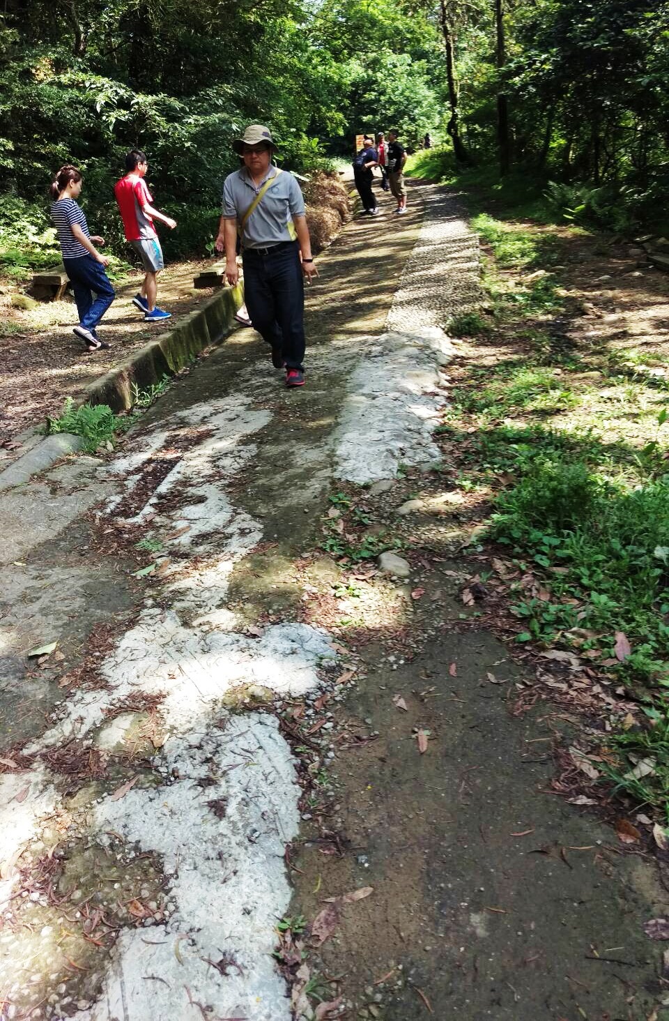 石門山勞工育樂中心後方的觀音登山步道出現坍方，攸關登山遊客安全。