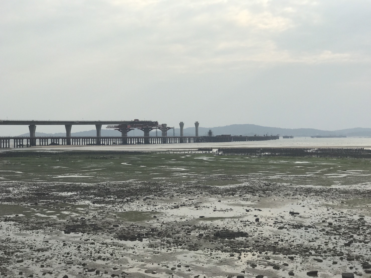 金門大橋從2012年動工至今,已經換了第三家承包商,出現橋只蓋一半就停工的荒謬狀況。(陳玉珍議員辦公室提供)