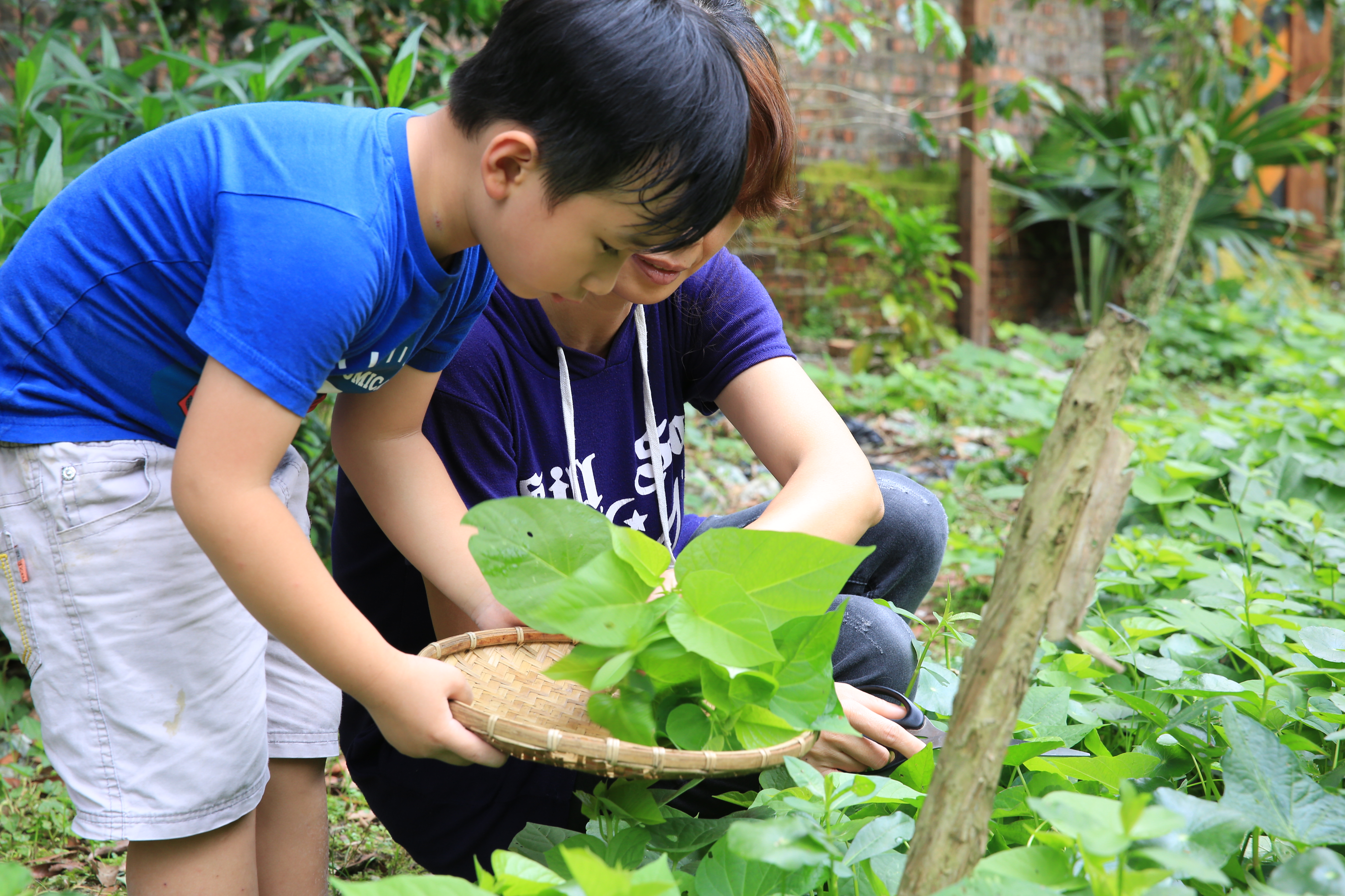 自家的小菜園，充滿田園樂趣。