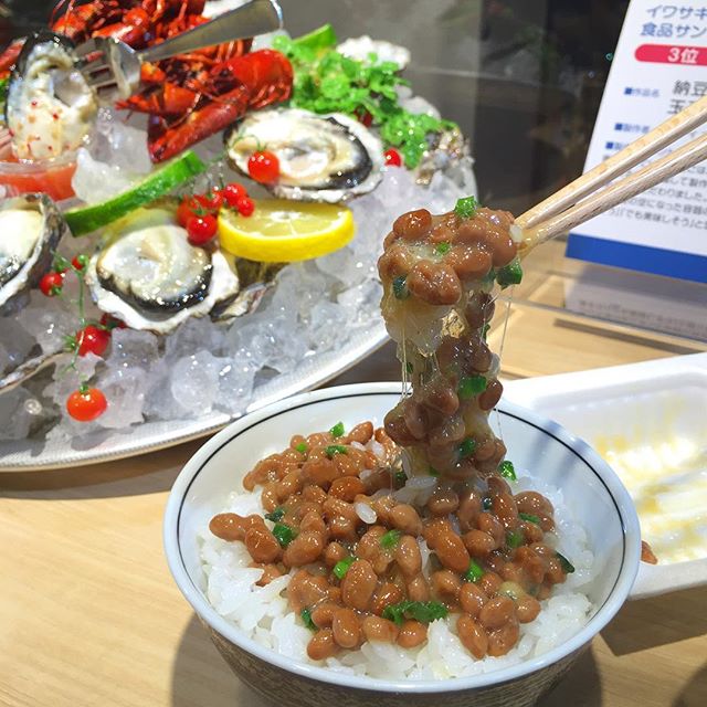 （https://www.instagram.com/noroebi/）