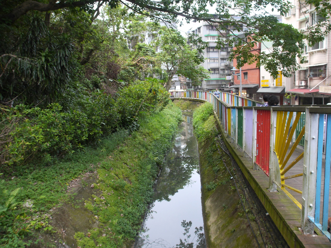 吳興街600巷沿線的神大排，右岸是木棧道，有著繽紛多彩的欄杆；左岸是邊坡山林，斜攀著邊坡的雀榕們巨大得將粗枝橫越了神大排伸展到木棧道上方。符容／攝