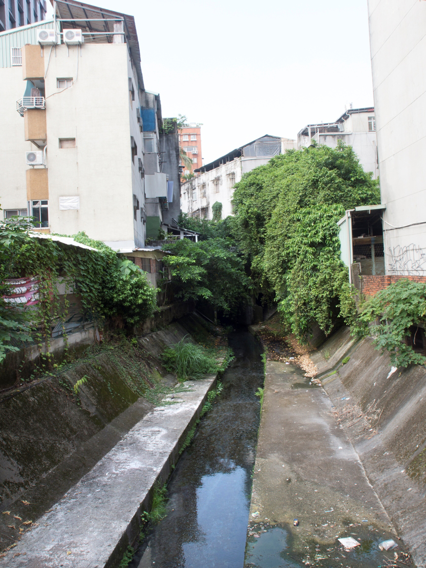 信義路八號橋下的河,流過一小段距離便鑽進箱涵,沒入大葉雀榕枝葉掩映處的隧道中。符容/攝