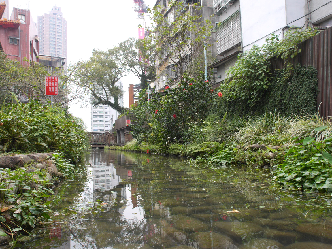 北新路一段45巷的瑠公圳明渠,是整治得最為美好的河段。符容/攝