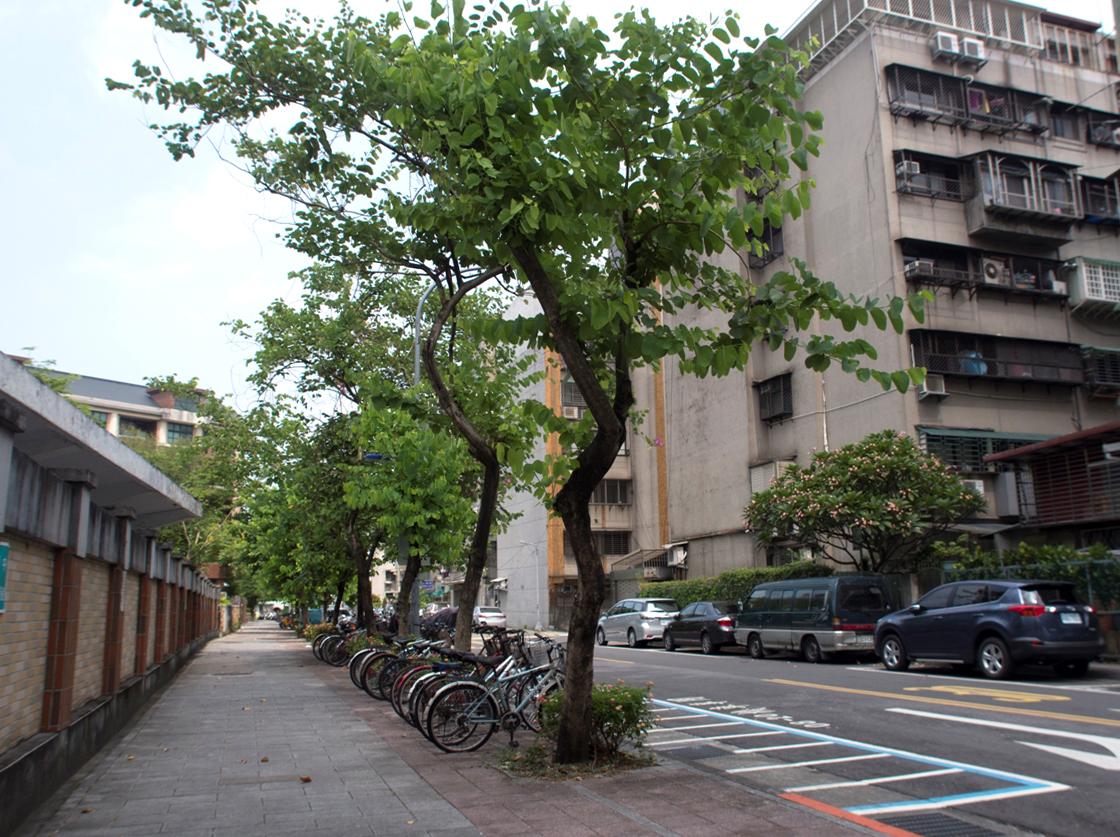 龍門國中旁的和平東路二段76巷,是離開台大並跨越辛亥路的第一霧裡薛支線。