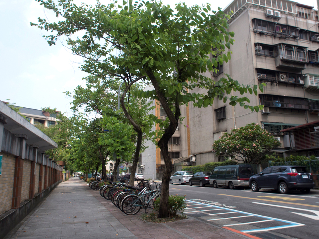 龍門國中旁的和平東路二段76巷，是離開台大並跨越辛亥路的第一霧裡薛支線。
