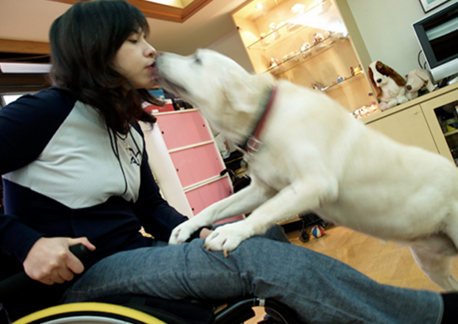 曹燕婷相當愛狗，因為導盲犬的陪伴，讓她走出意外受傷後的黑暗期。