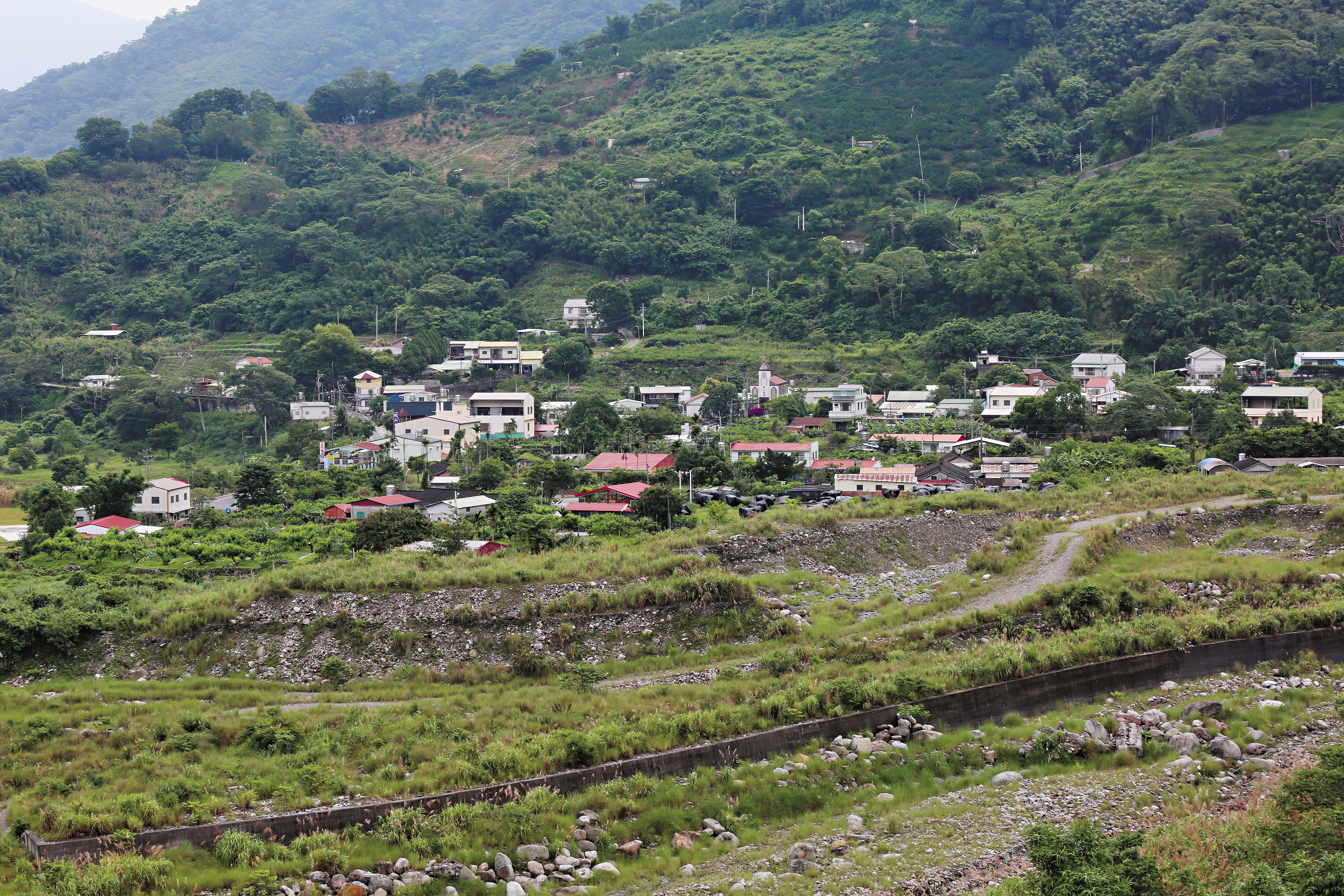 泰安鄉美如山中祕境，近年卻屢遭蛇患入侵。