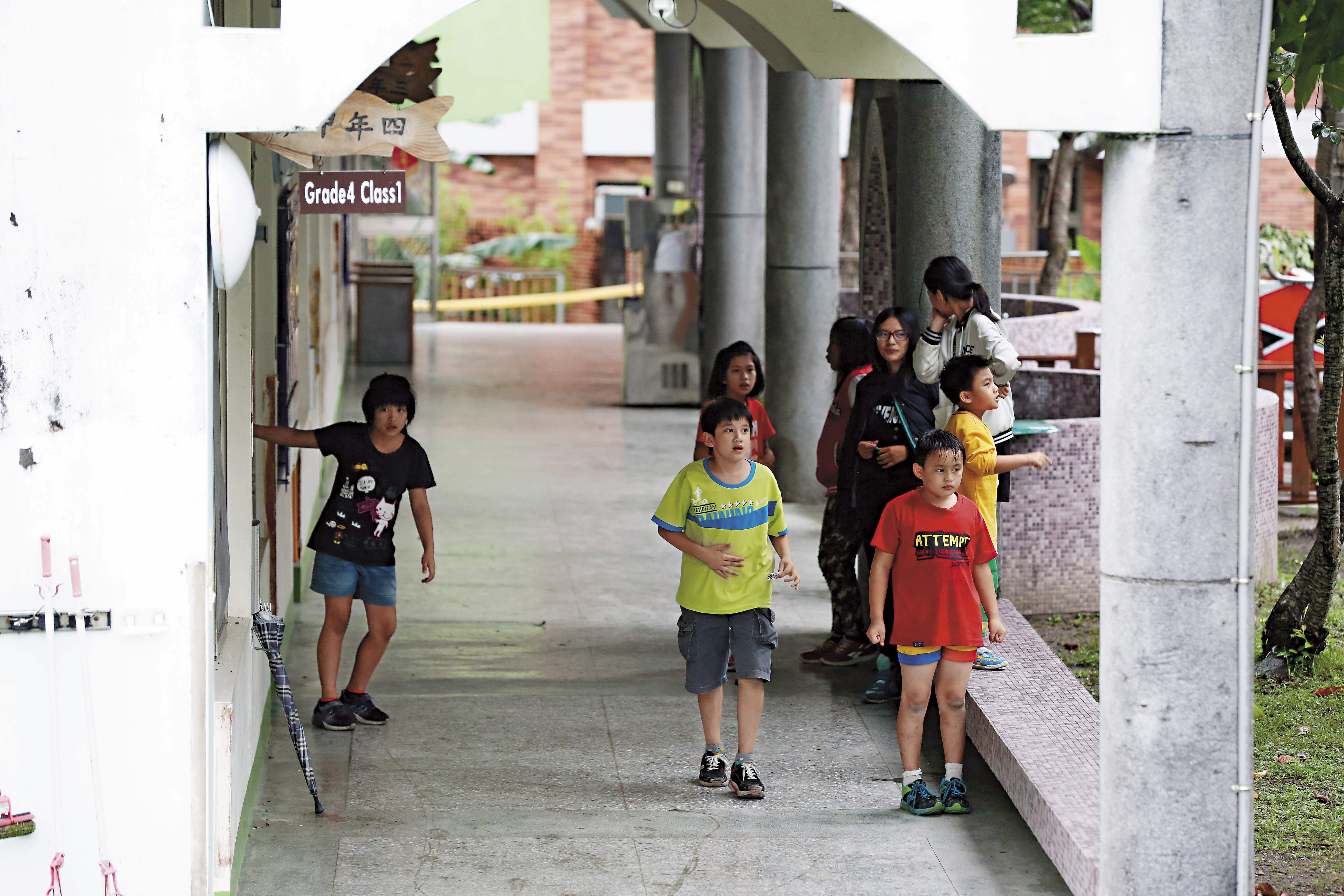 眼鏡蛇大舉來襲也侵入校園，嚴重影響學童安全。