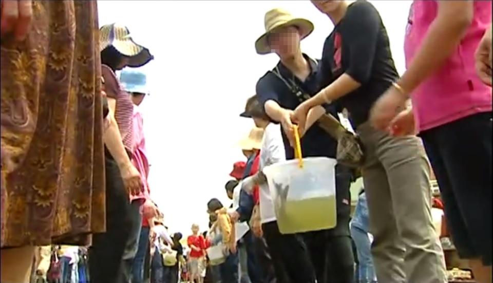 部分宗教團體深信「放生」能得到極大功德，但隨意放生卻可能對生態環境造成難以彌補的破壞。