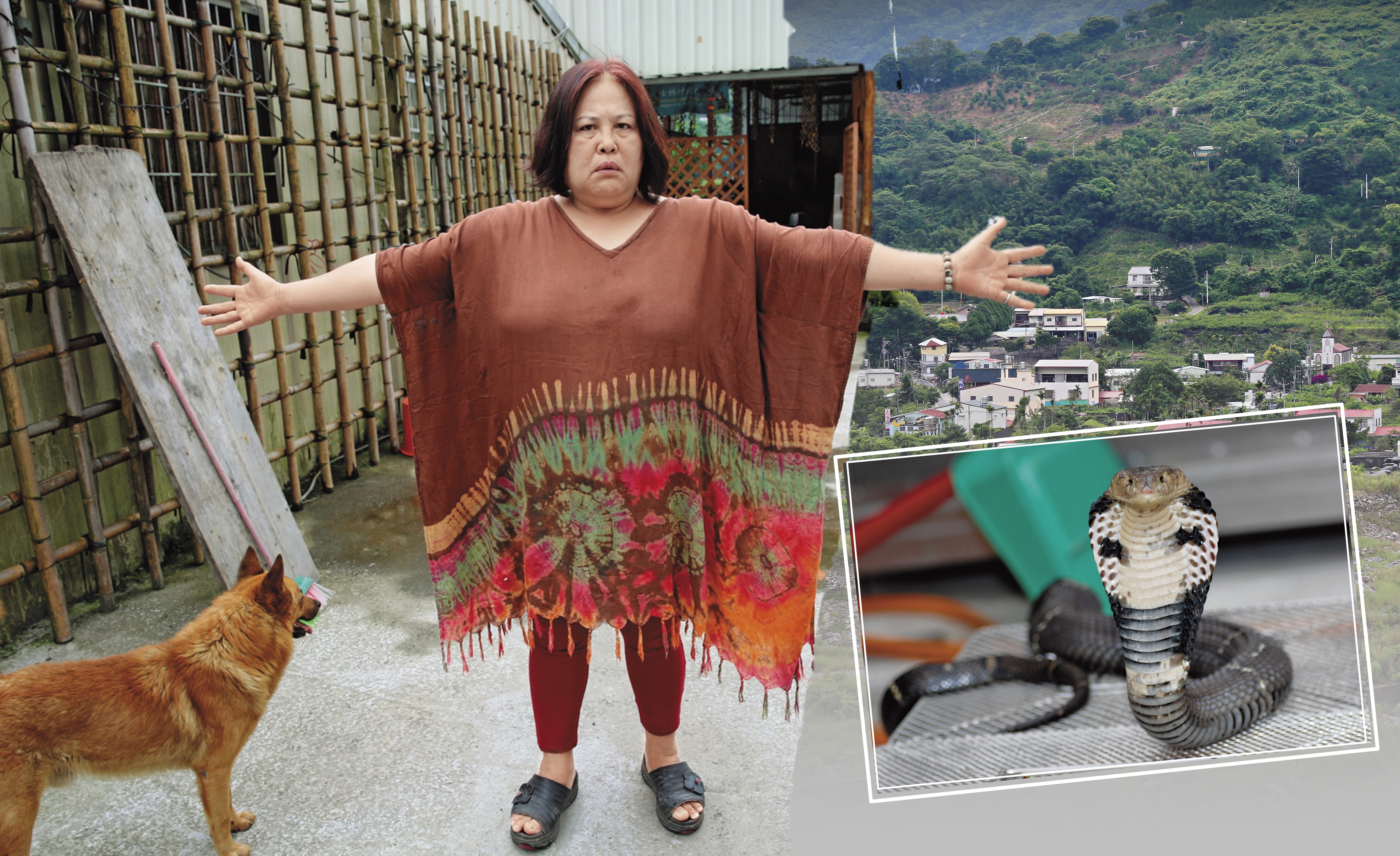 泰安鄉美如山中祕境，近年卻屢遭蛇患入侵。村民驚恐比出曾遇過身長2公尺的大蛇。