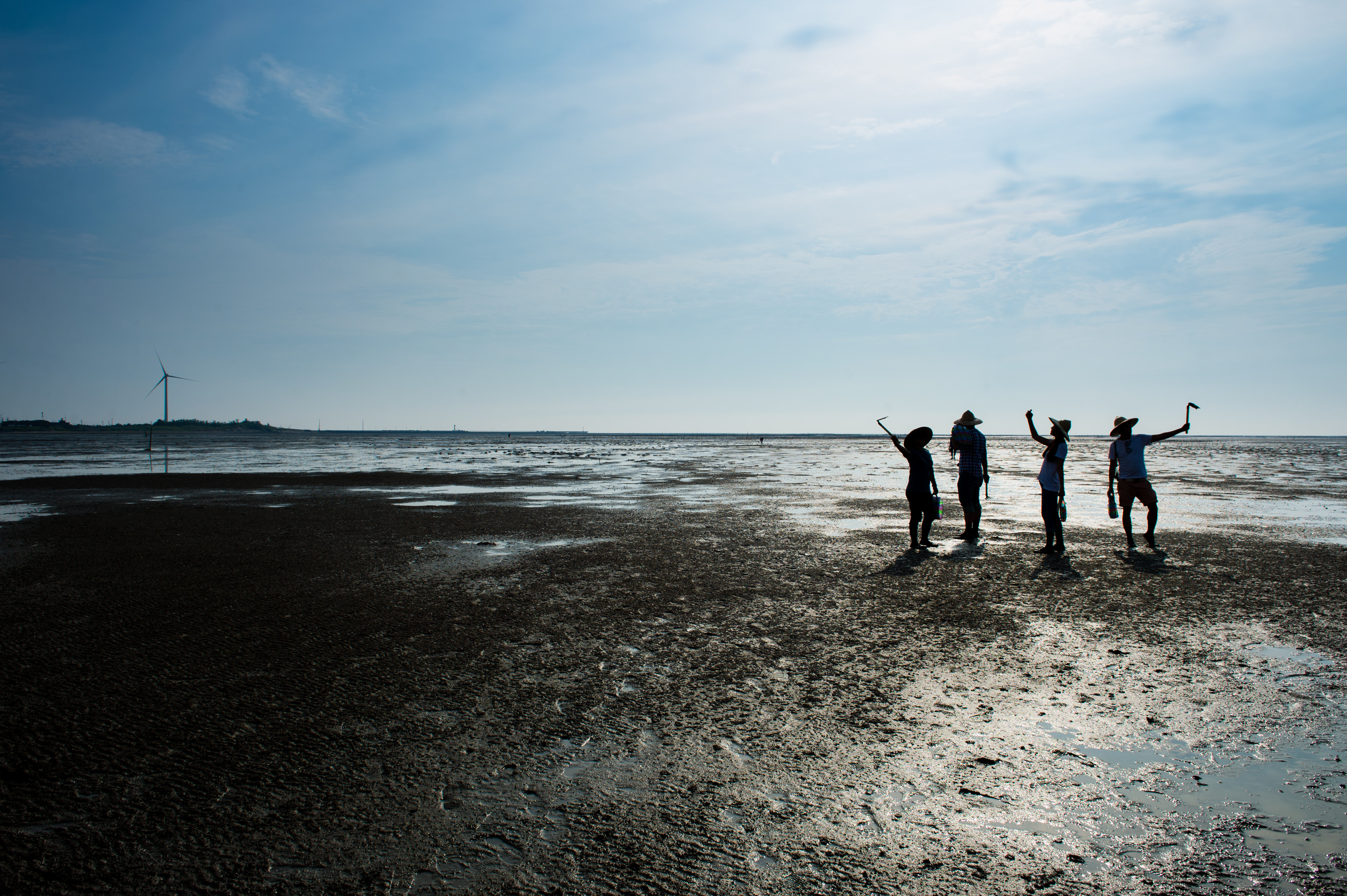 香山濕地在傍晚時分，拍照特別美。