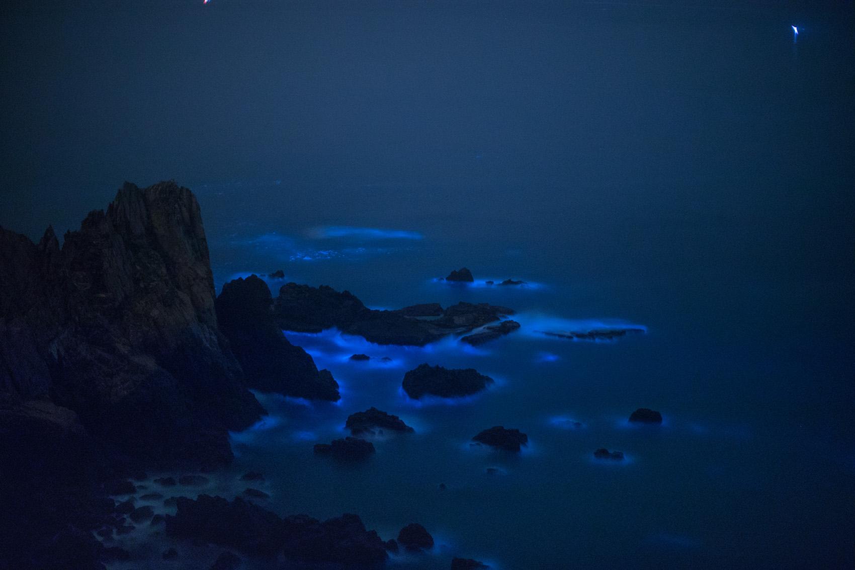 夜幕低垂，東引的「國之北疆」海域，閃爍上眼的是全台最北的藍眼淚美景。