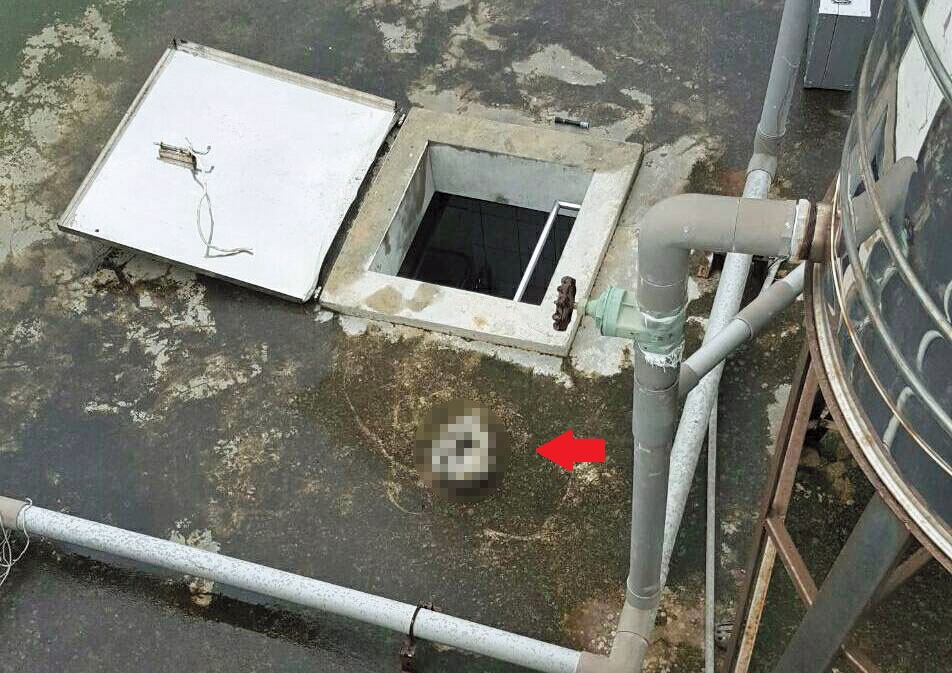 白骨發現處進出相當困難，天井通道僅容一人寬度。頭骨（箭頭處）被發現時，一度被工人誤以為是狗骨，丟在一旁。